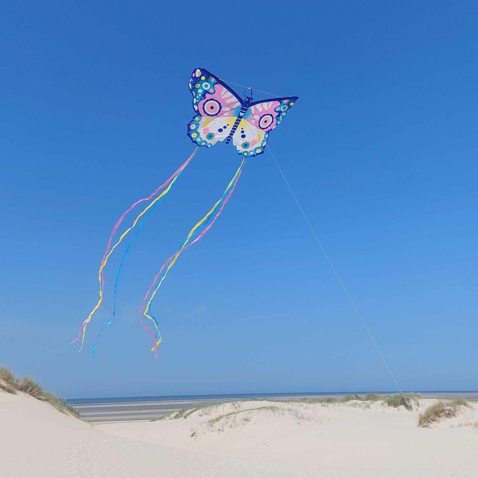 Maxi Kite - Butterfly