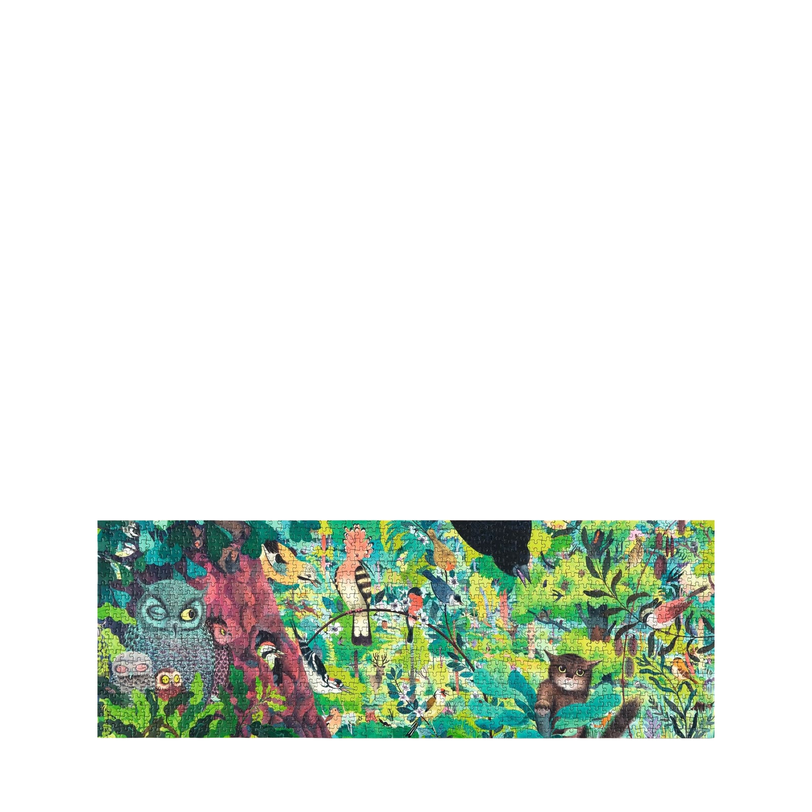 1000 Piece Puzzle Gallery - Owls and Birds