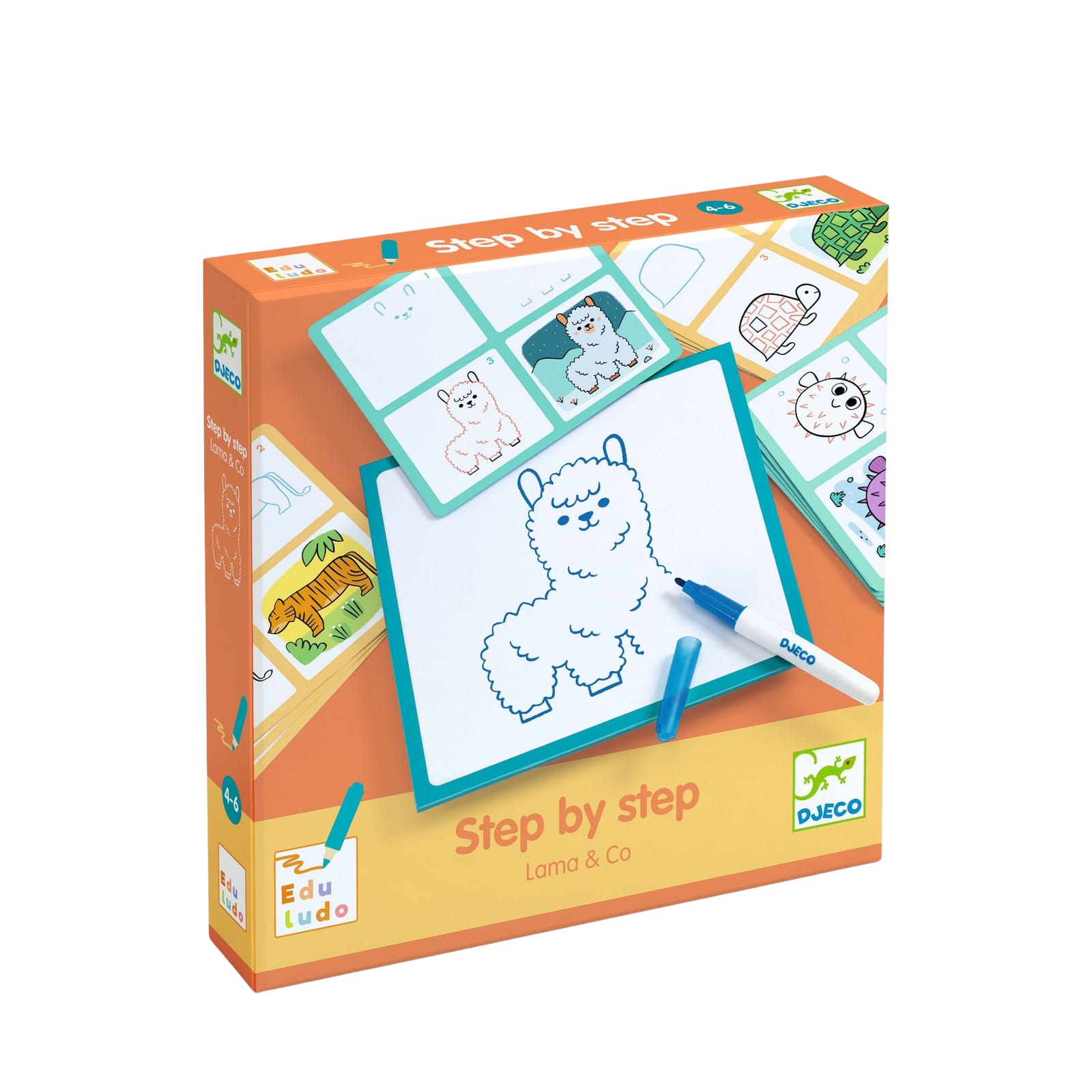 Drawing Step By Step - Animals