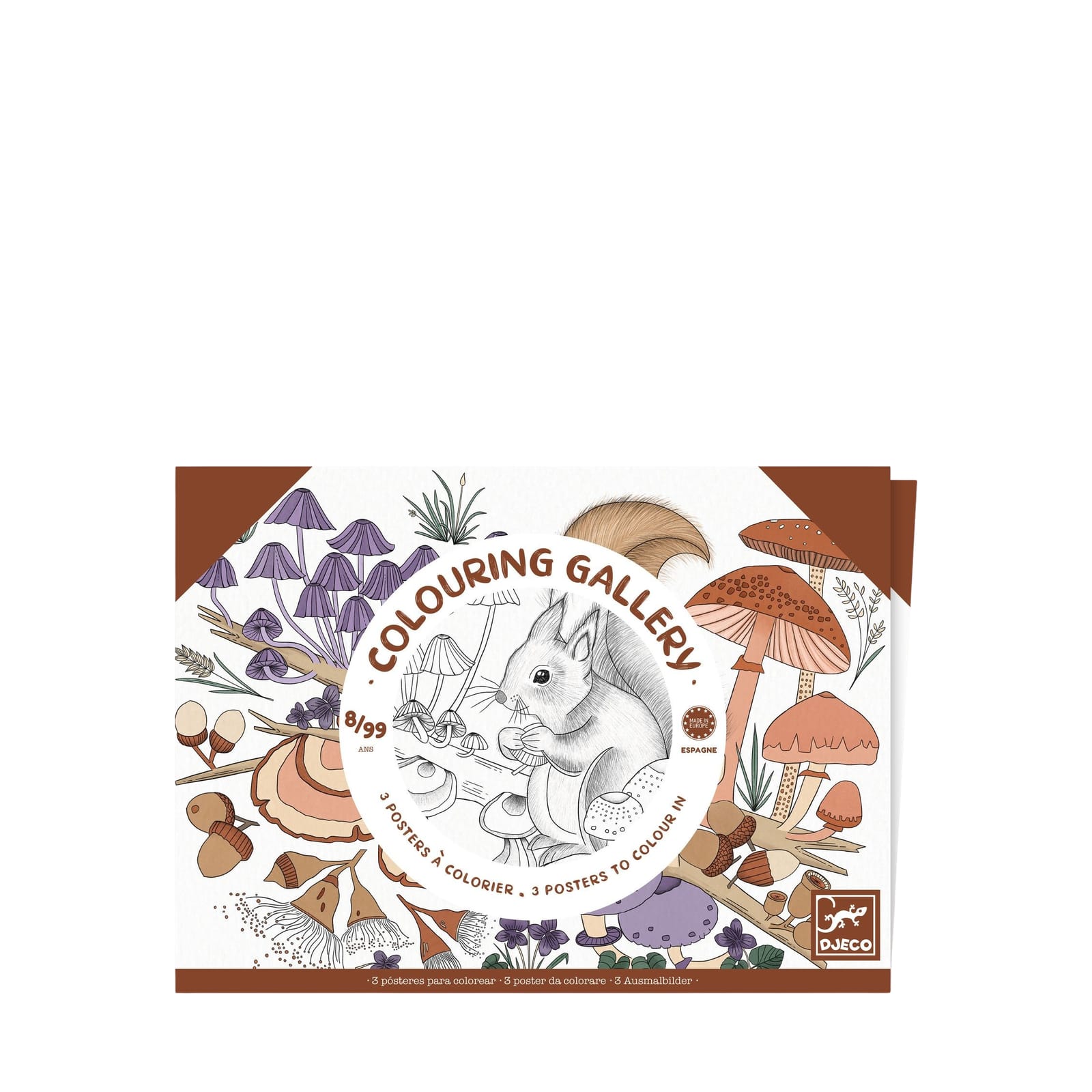 3 Colouring Posters - Naturalist