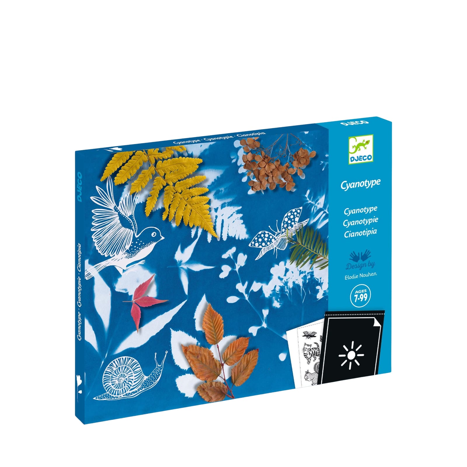 Light Sensitive Paper Craft Set - Starter Kit