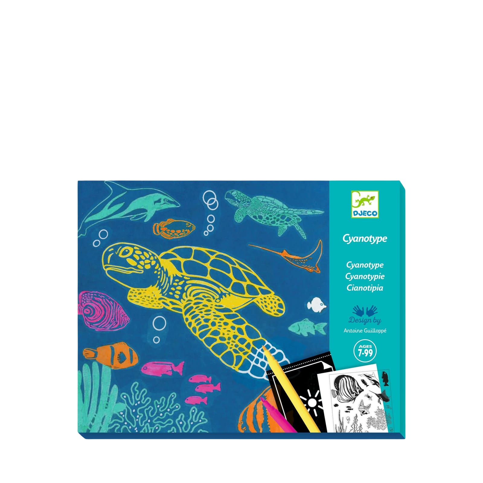 Light Sensitive Paper Craft Set - Marine Animals