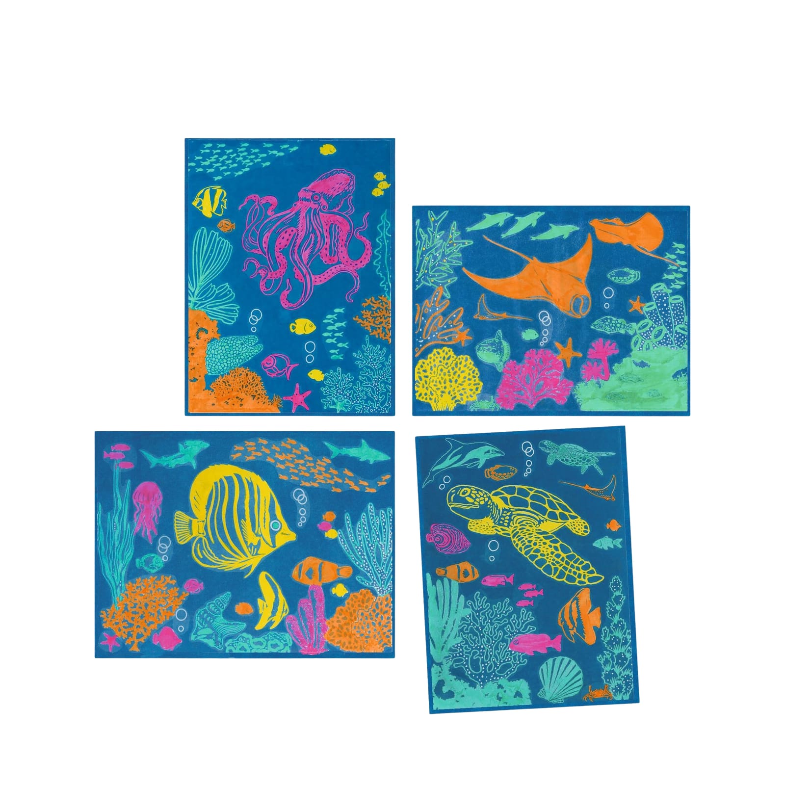 Light Sensitive Paper Craft Set - Marine Animals