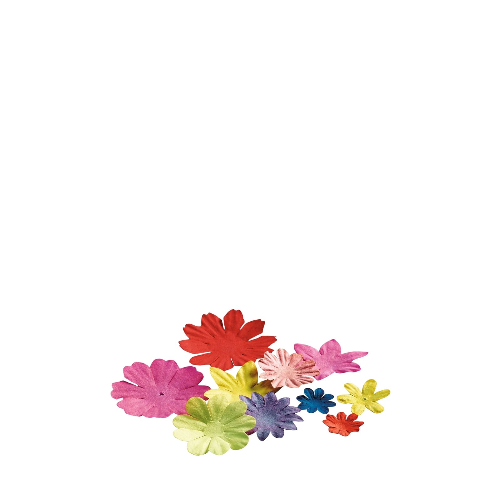 3D Paper Craft Set - Coyoacan