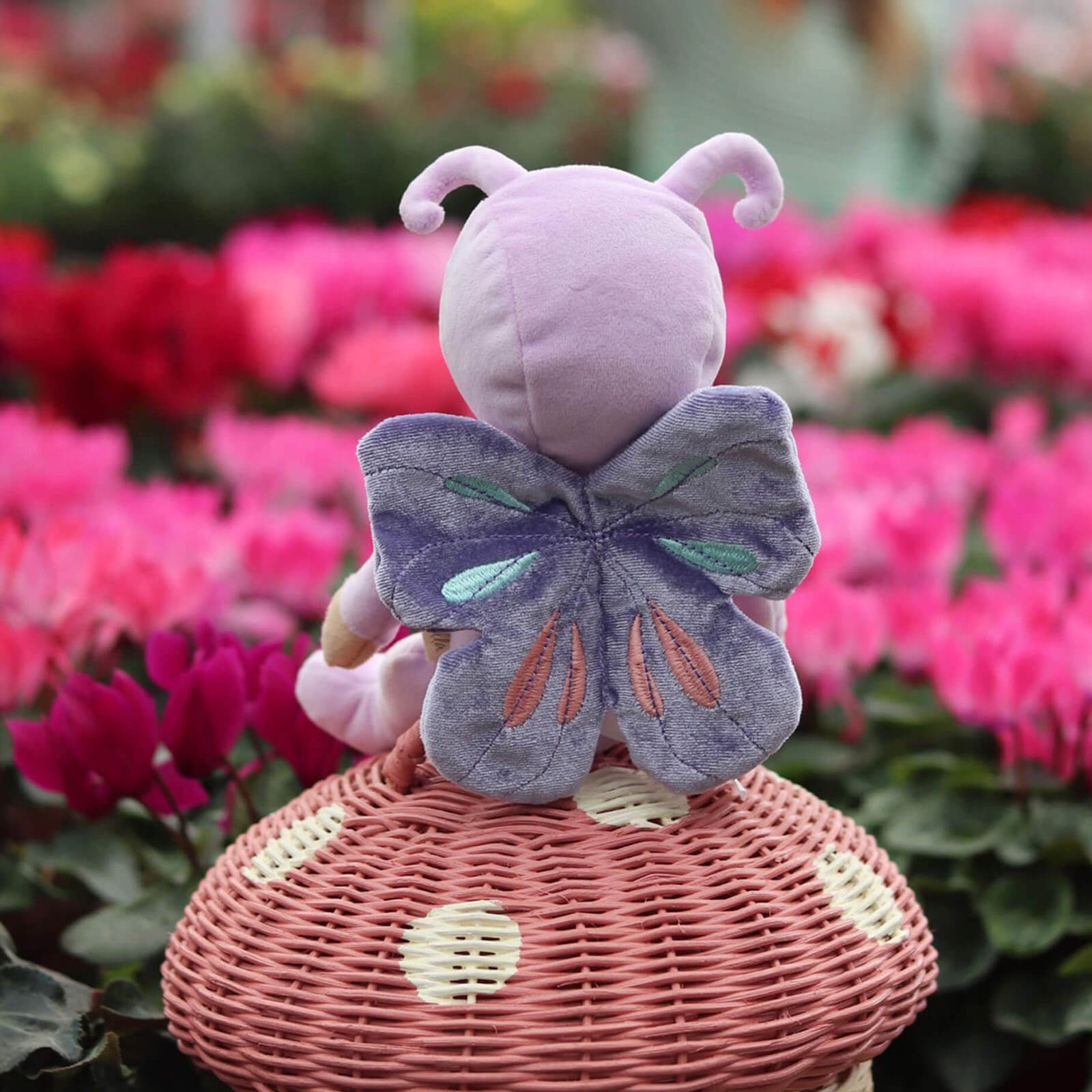 Dinky Dinkum Doll - Betty Butterfly