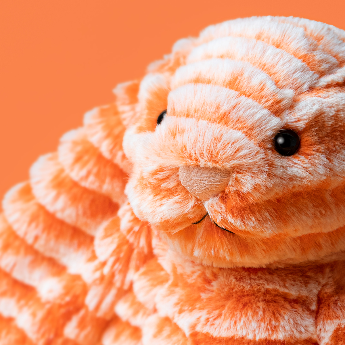 Original Bashful Bunny - Fizzleskip