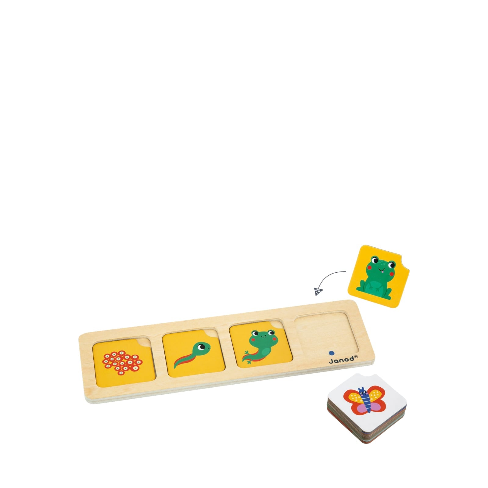 Sequences Cards - The Garden
