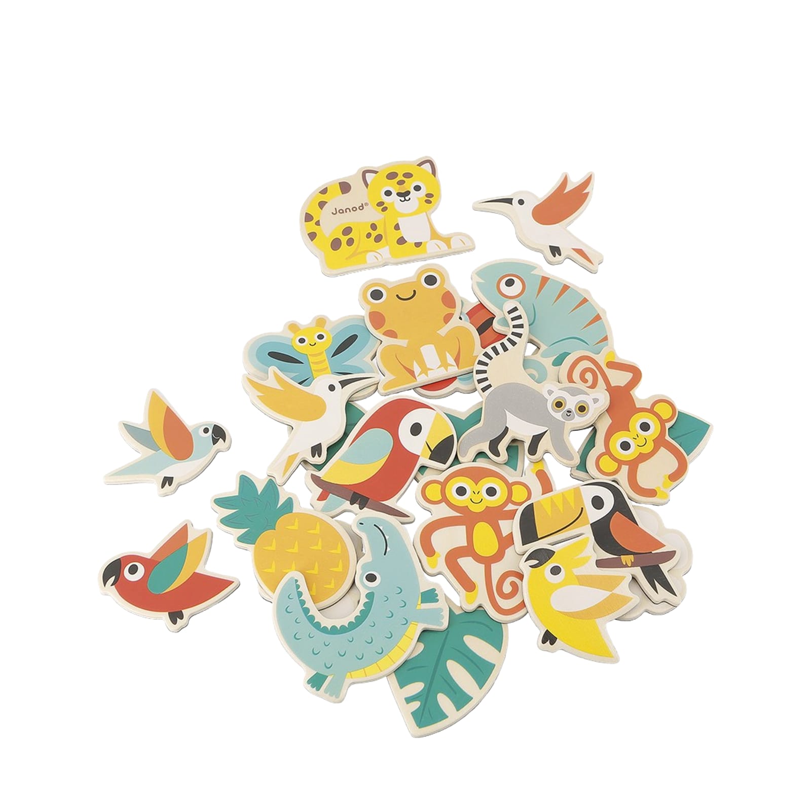 Tropical Magnets 24 Pieces