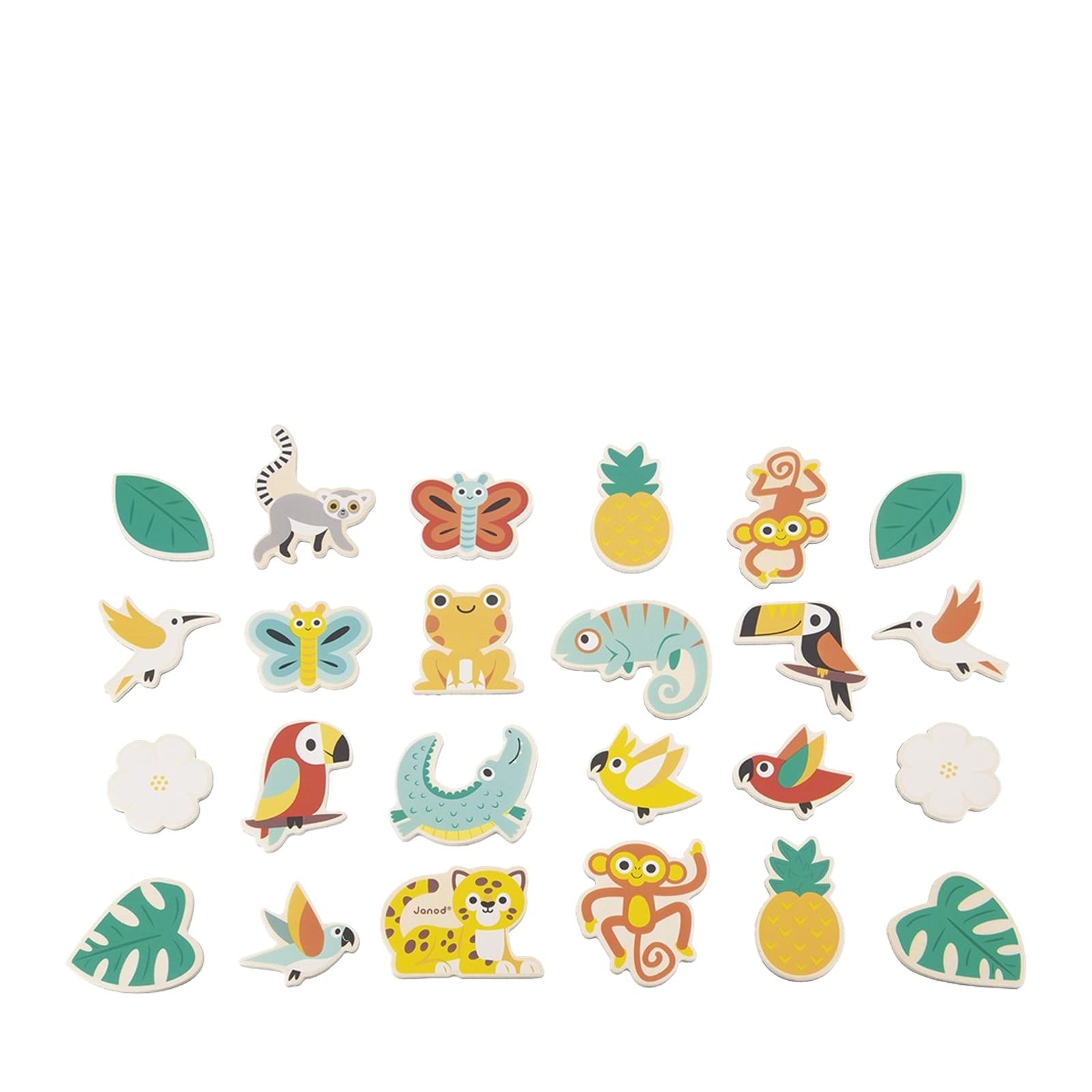 Tropical Magnets 24 Pieces