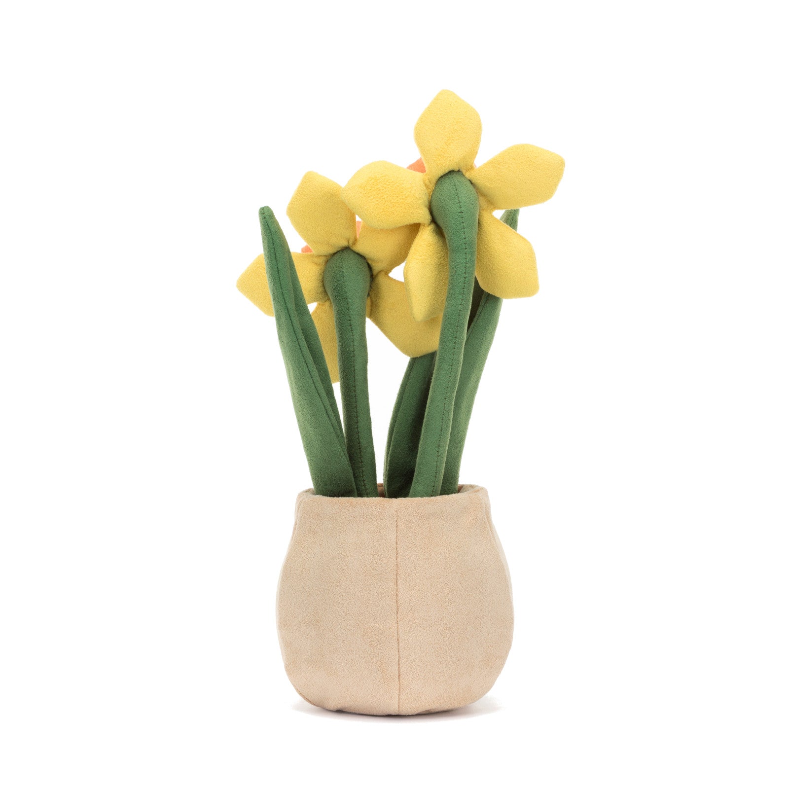 Amuseable Daffodil Pot