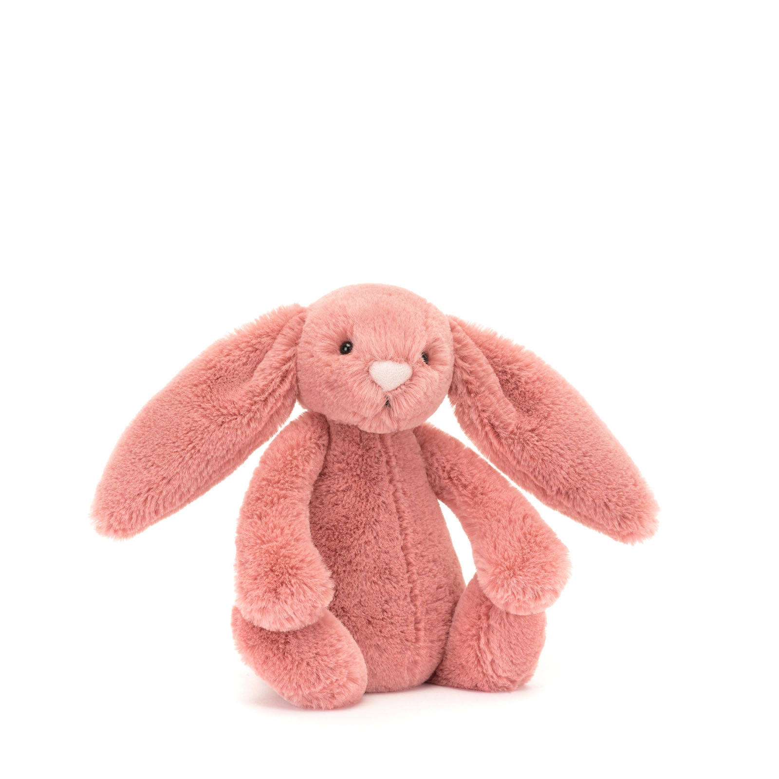 Little Bashful Bunny Sorrel