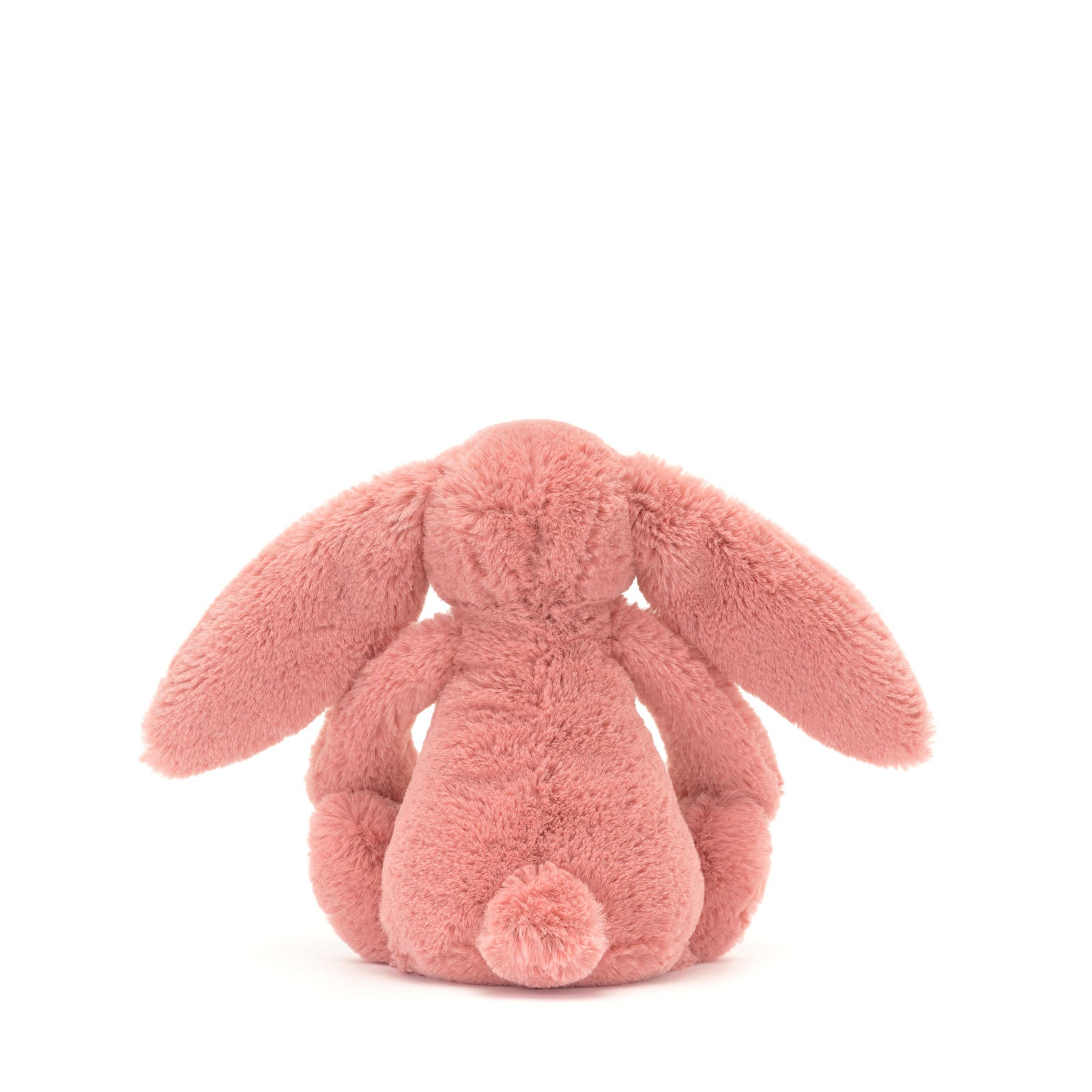 Little Bashful Bunny Sorrel