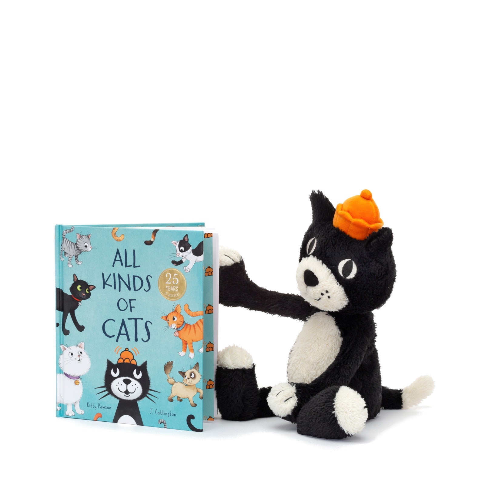 All Kinds of Cats - Book