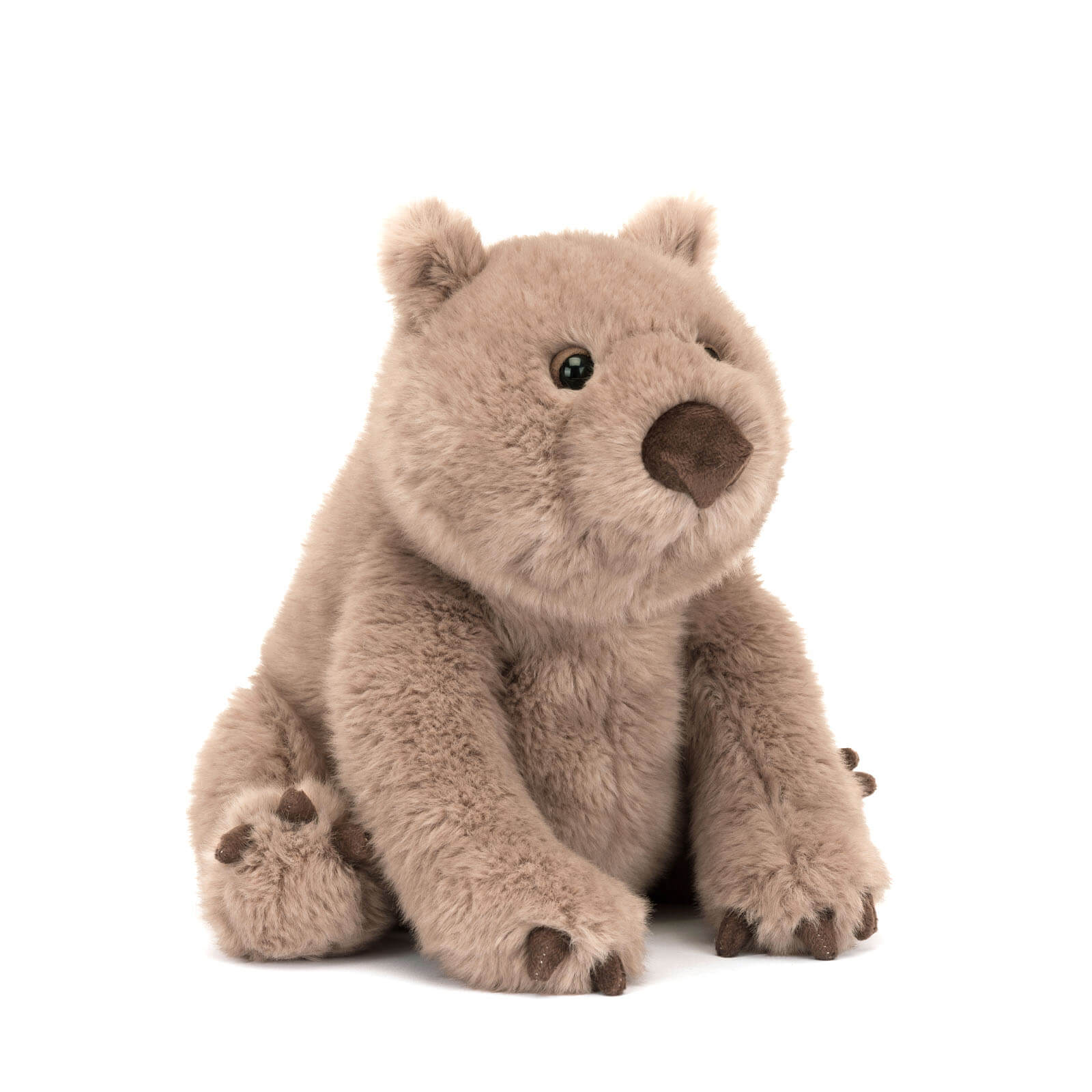 Wonda Wombat