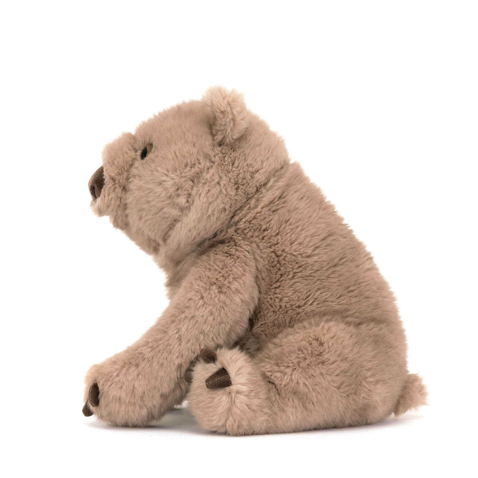 Wonda Wombat