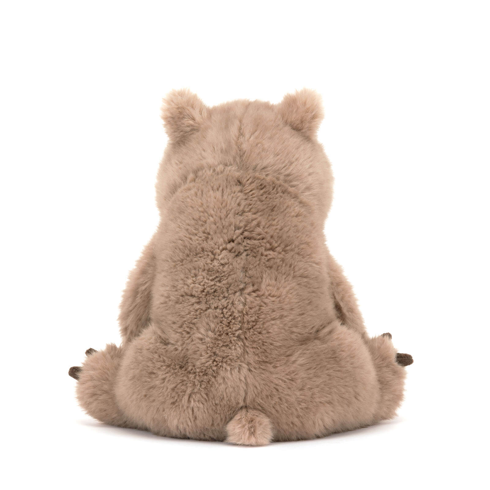 Wonda Wombat
