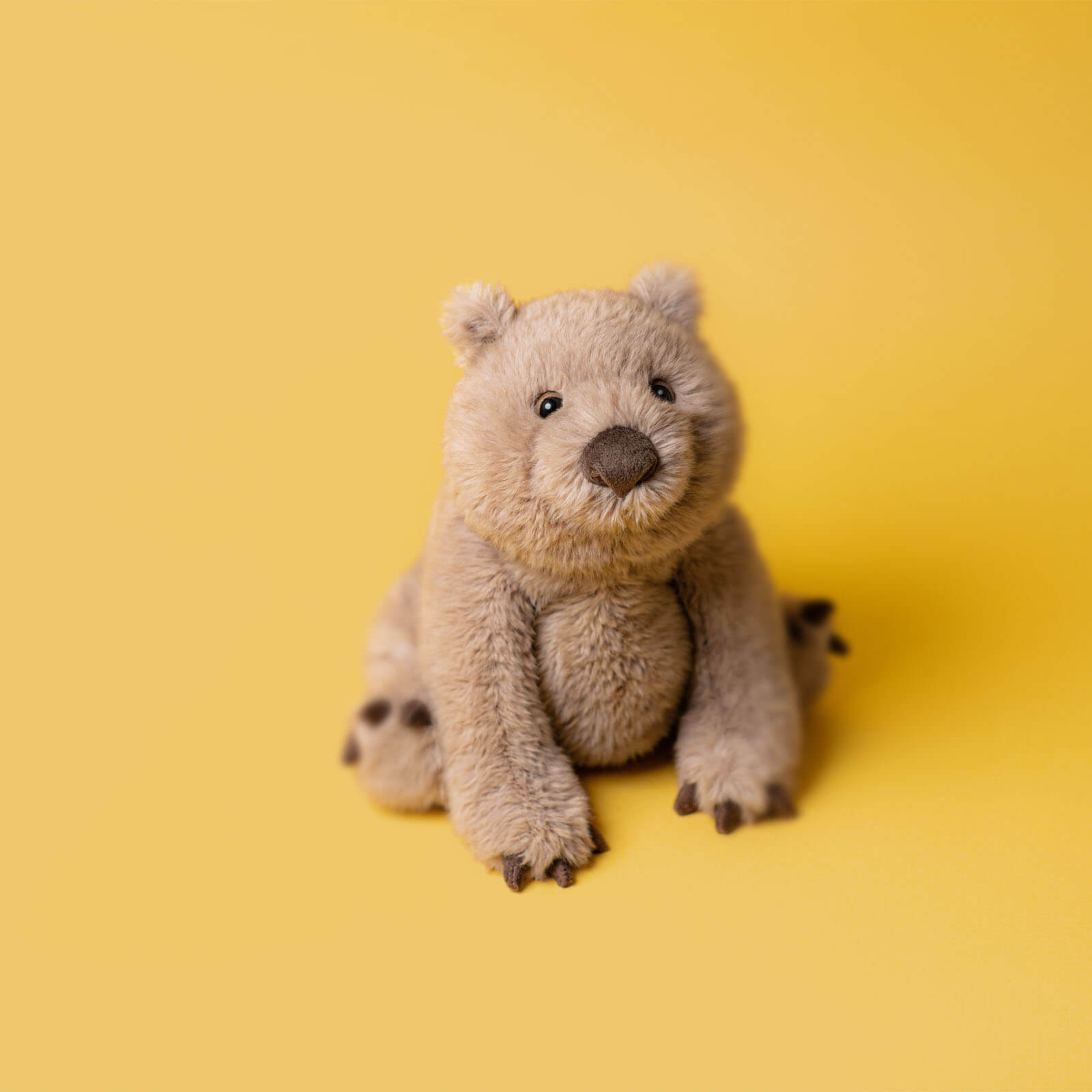 Wonda Wombat