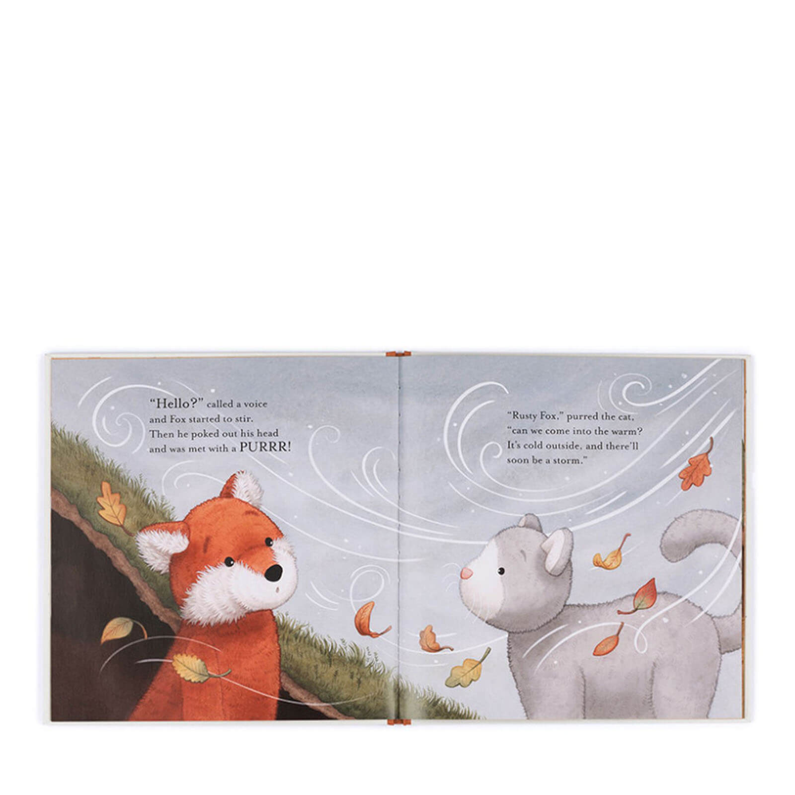 A Bashful Fox Story - Warm in the Storm Book