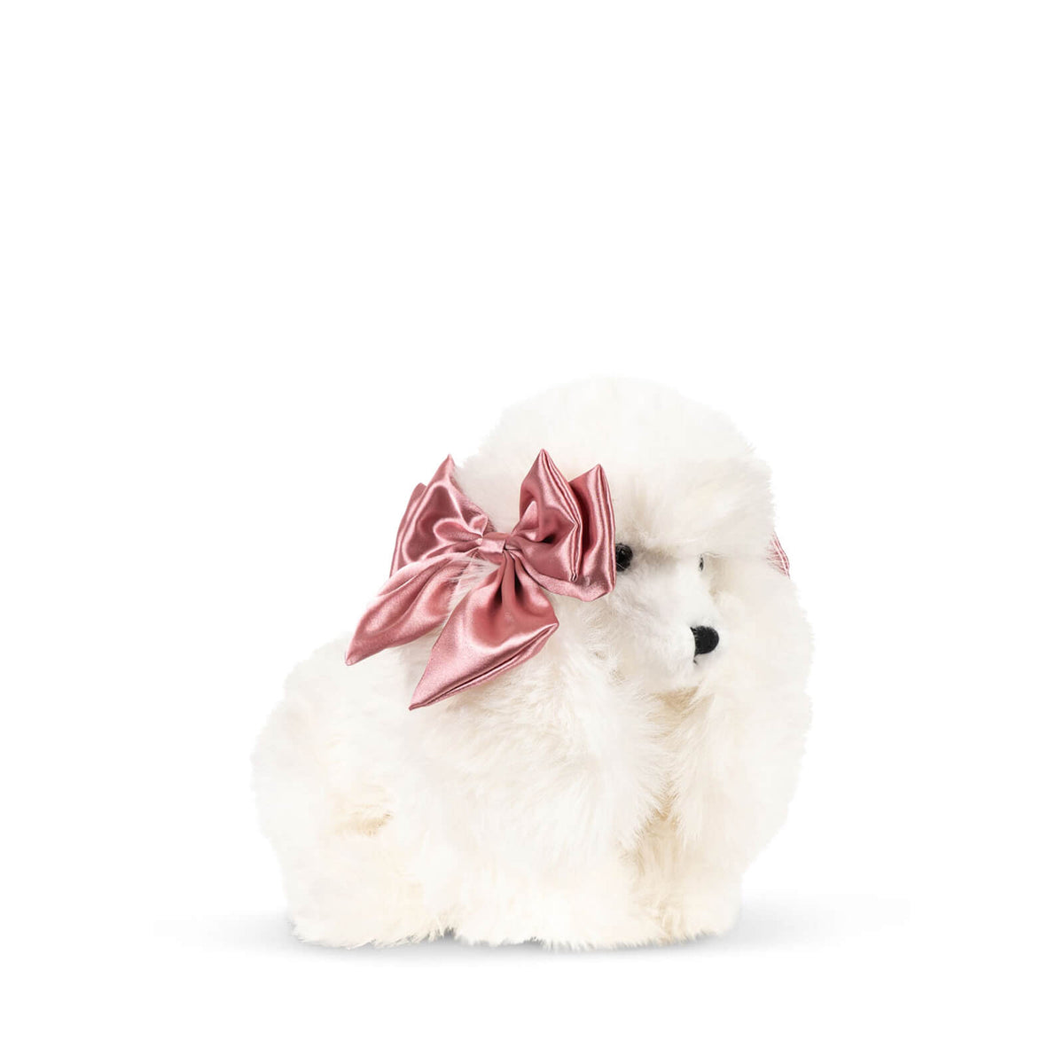 Spitz Soft Puppy