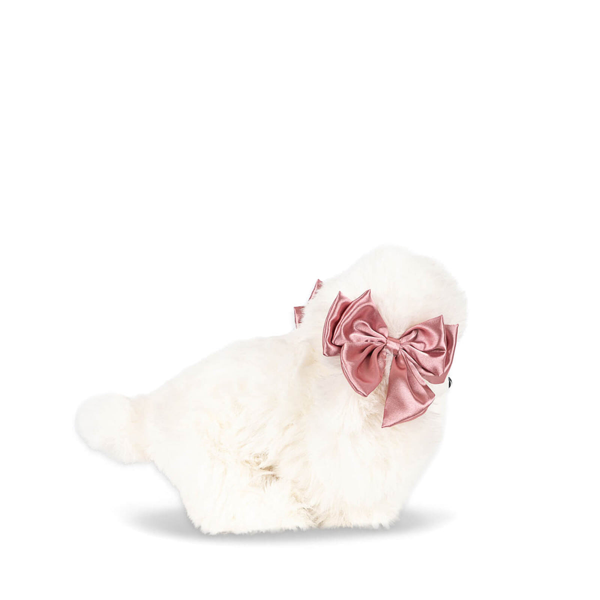 Spitz Soft Puppy