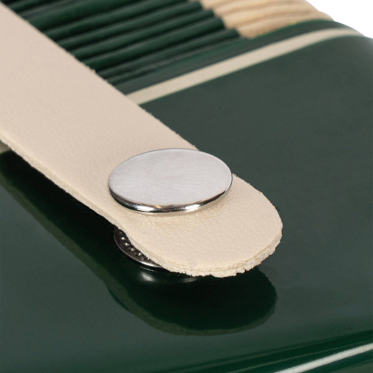 Musical Accordion - Green