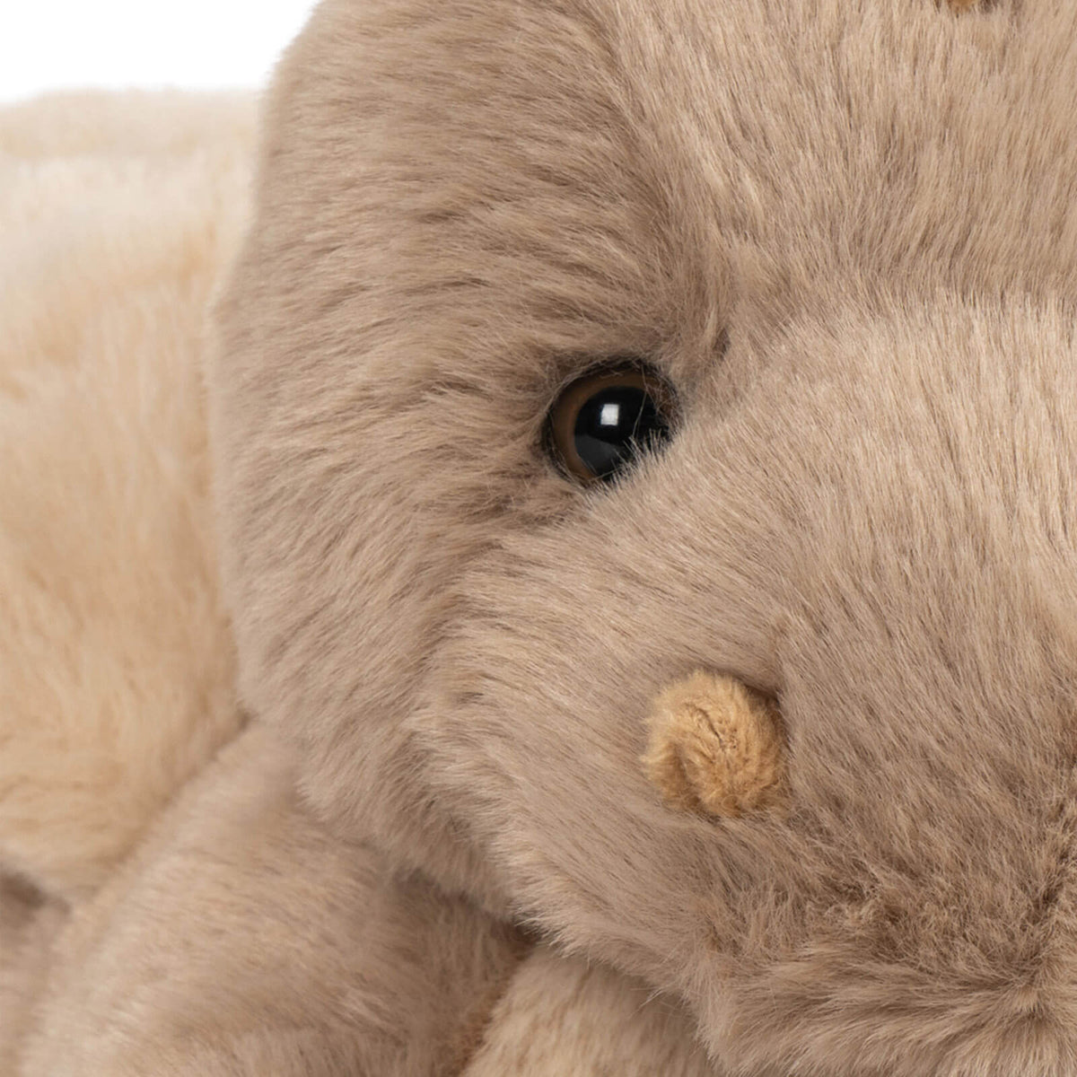 Teddy Dragon - Beige
