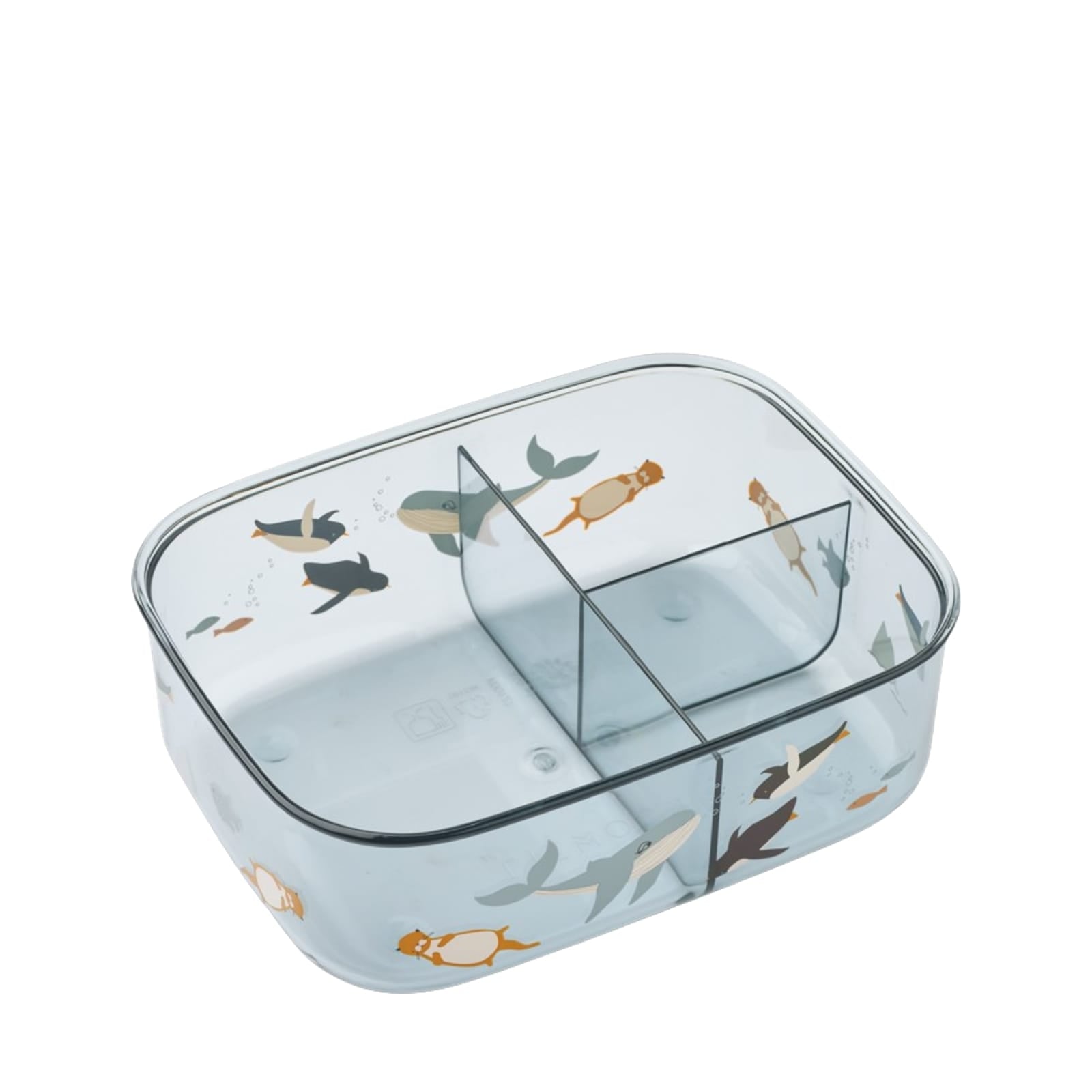 Arthur Tritan Lunchbox - Arctic Sea Ocean View