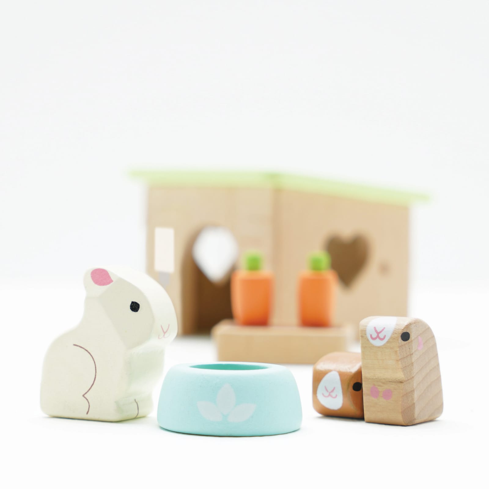 Bunny and Guinea Pet Set