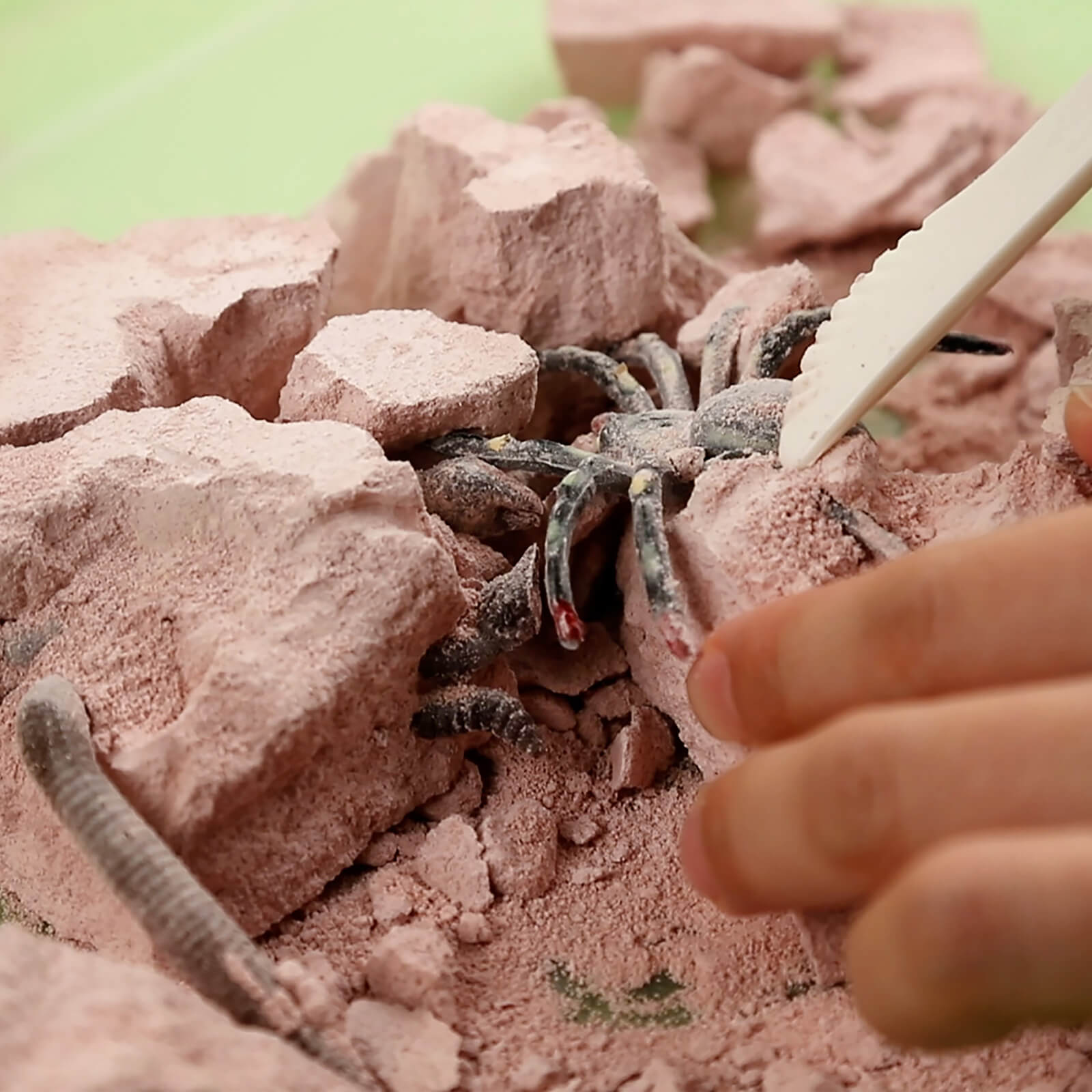 KidzLabs - Creepy Crawly Digging Kit
