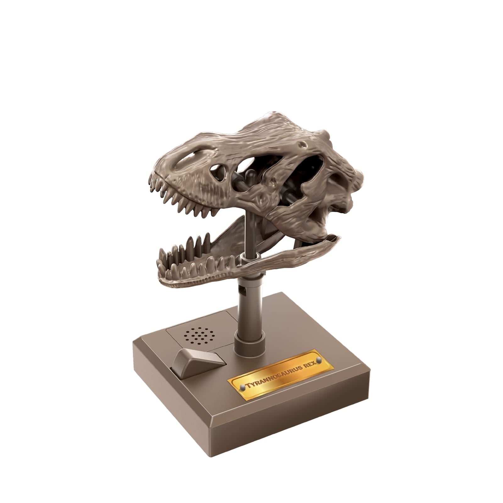 KidzLabs - Roaring T-Rex Skull