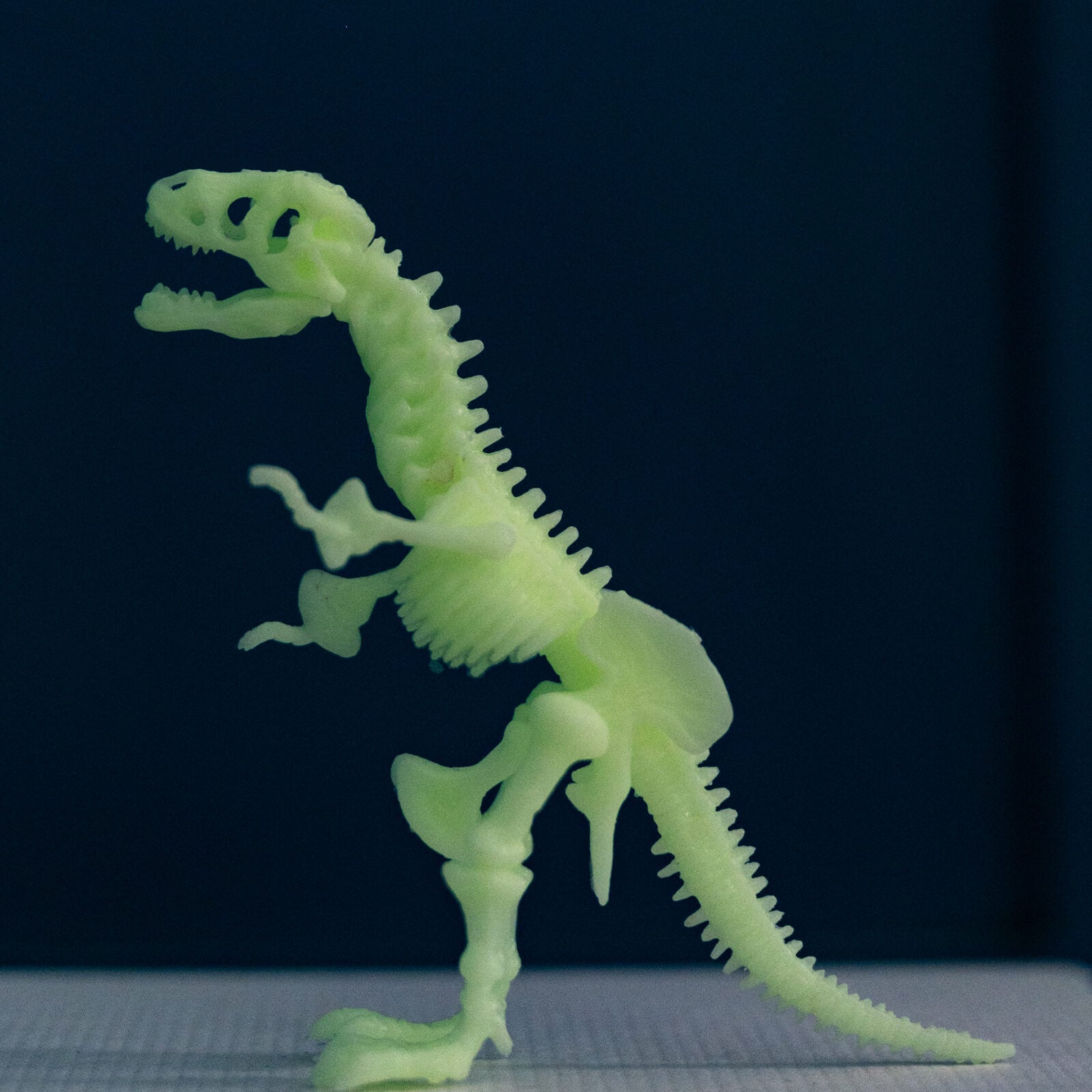 KidzLabs - Glowing T-Rex Skeleton