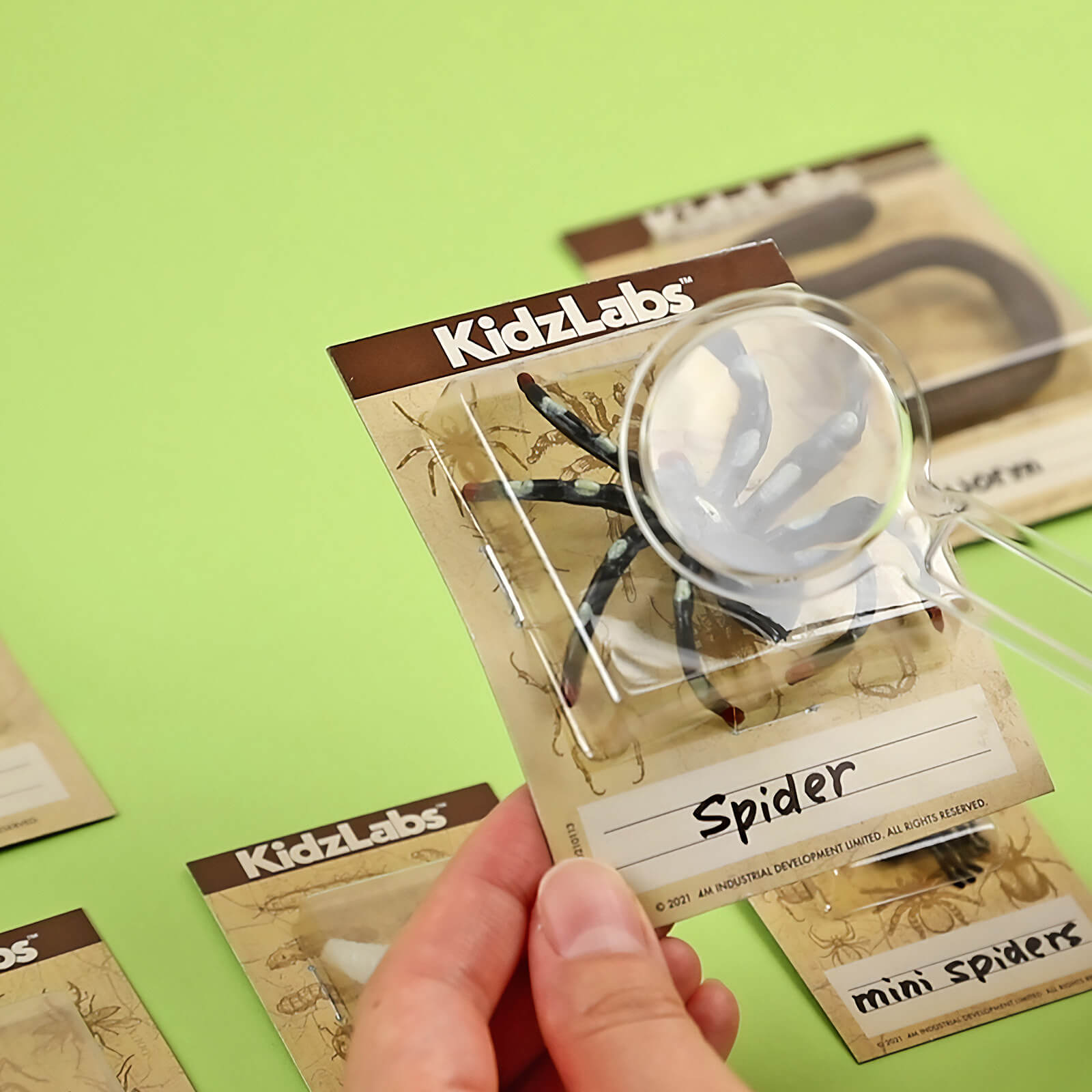 KidzLabs - Creepy Crawly Digging Lab