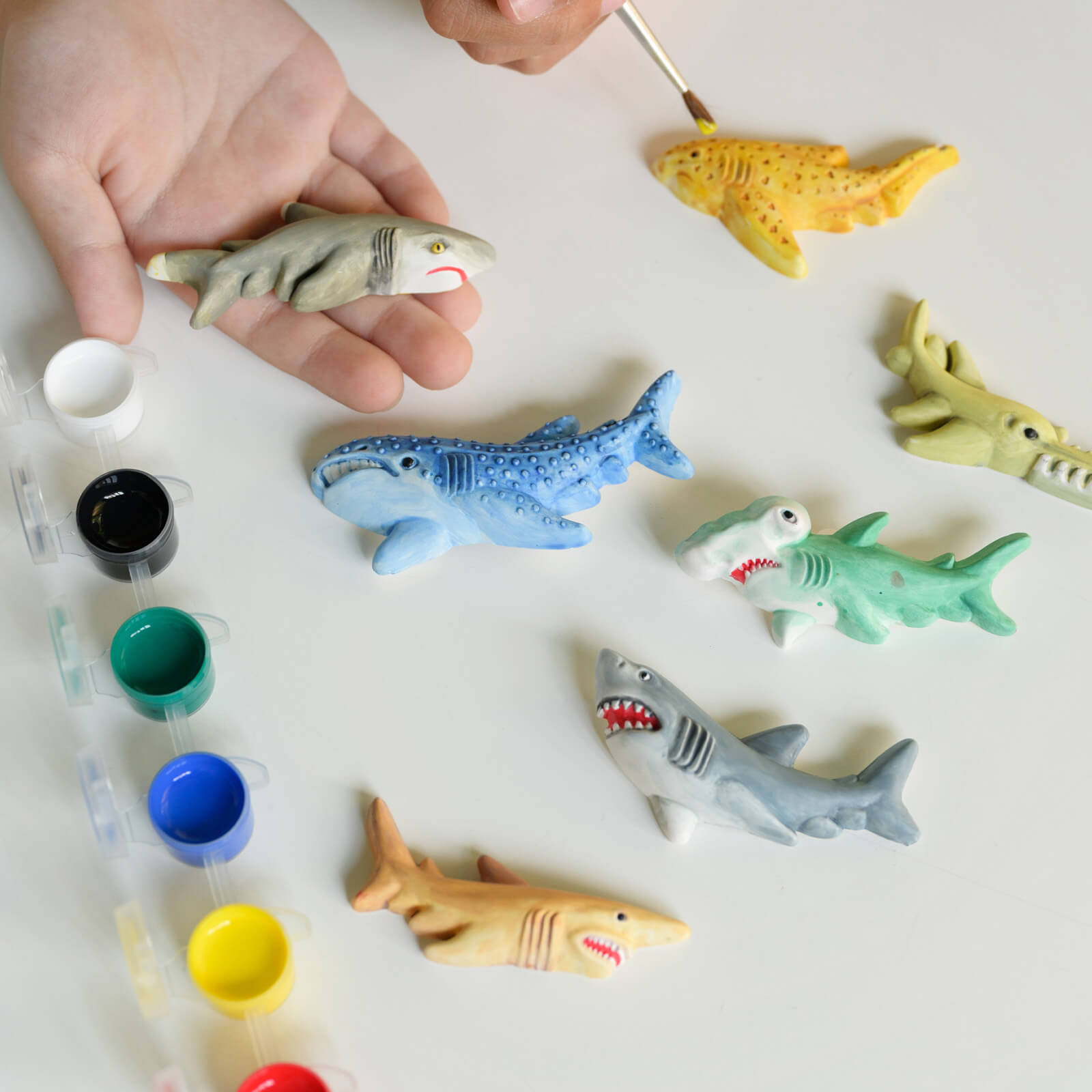 Mould and Paint - Sharks