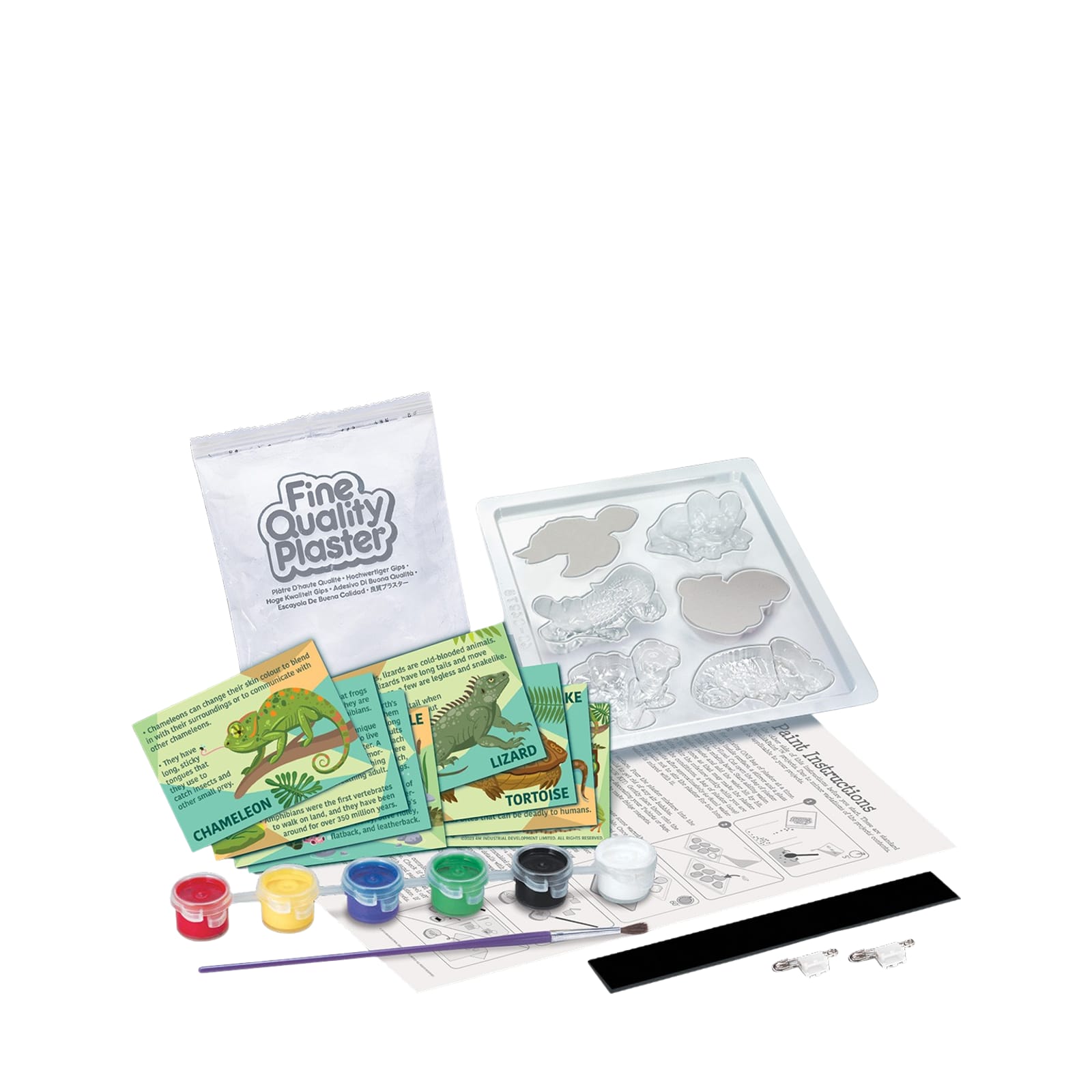 Mould and Paint - Reptile and Amphibian