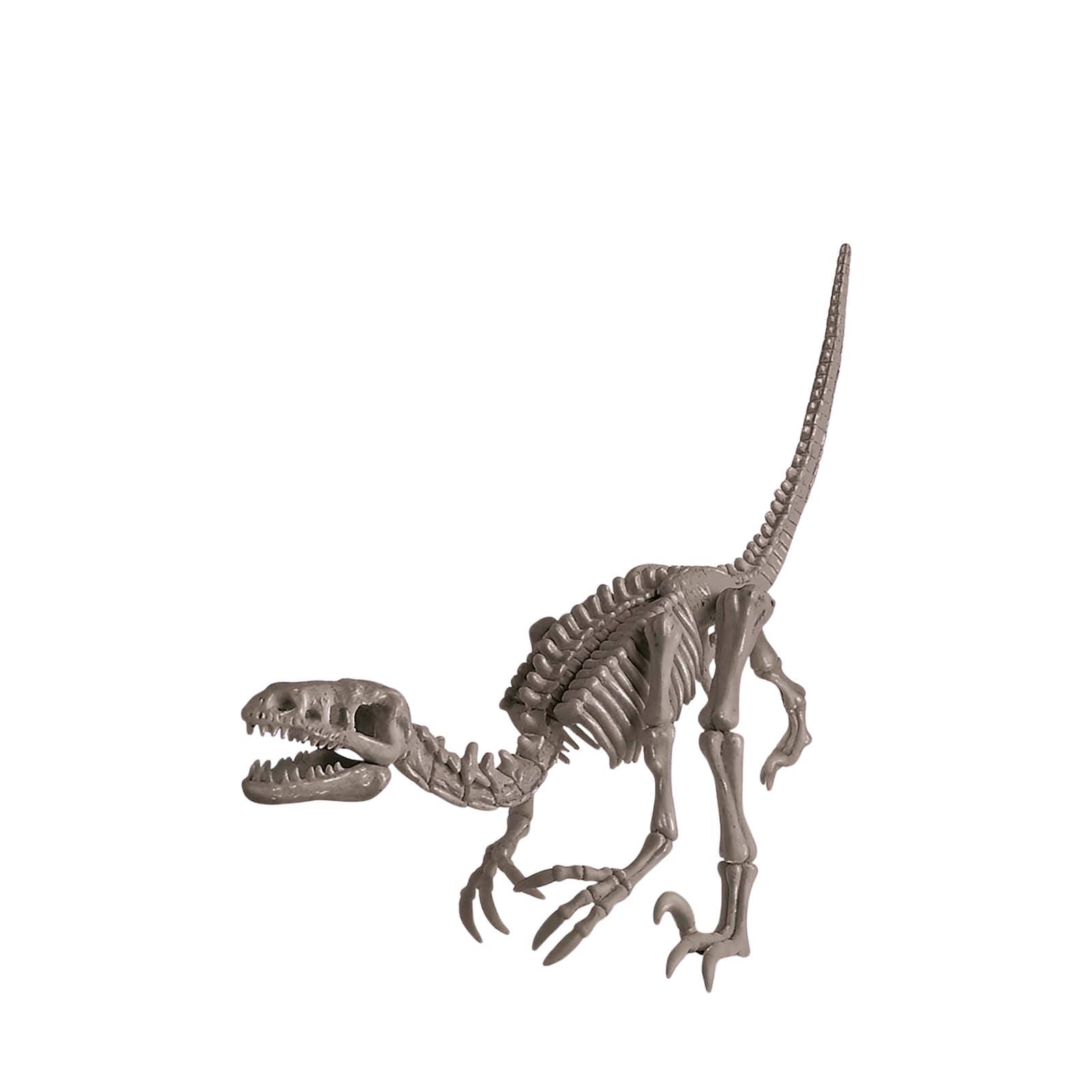 KidzLabs - Dig A Dinosaur Skeleton - Velociraptor