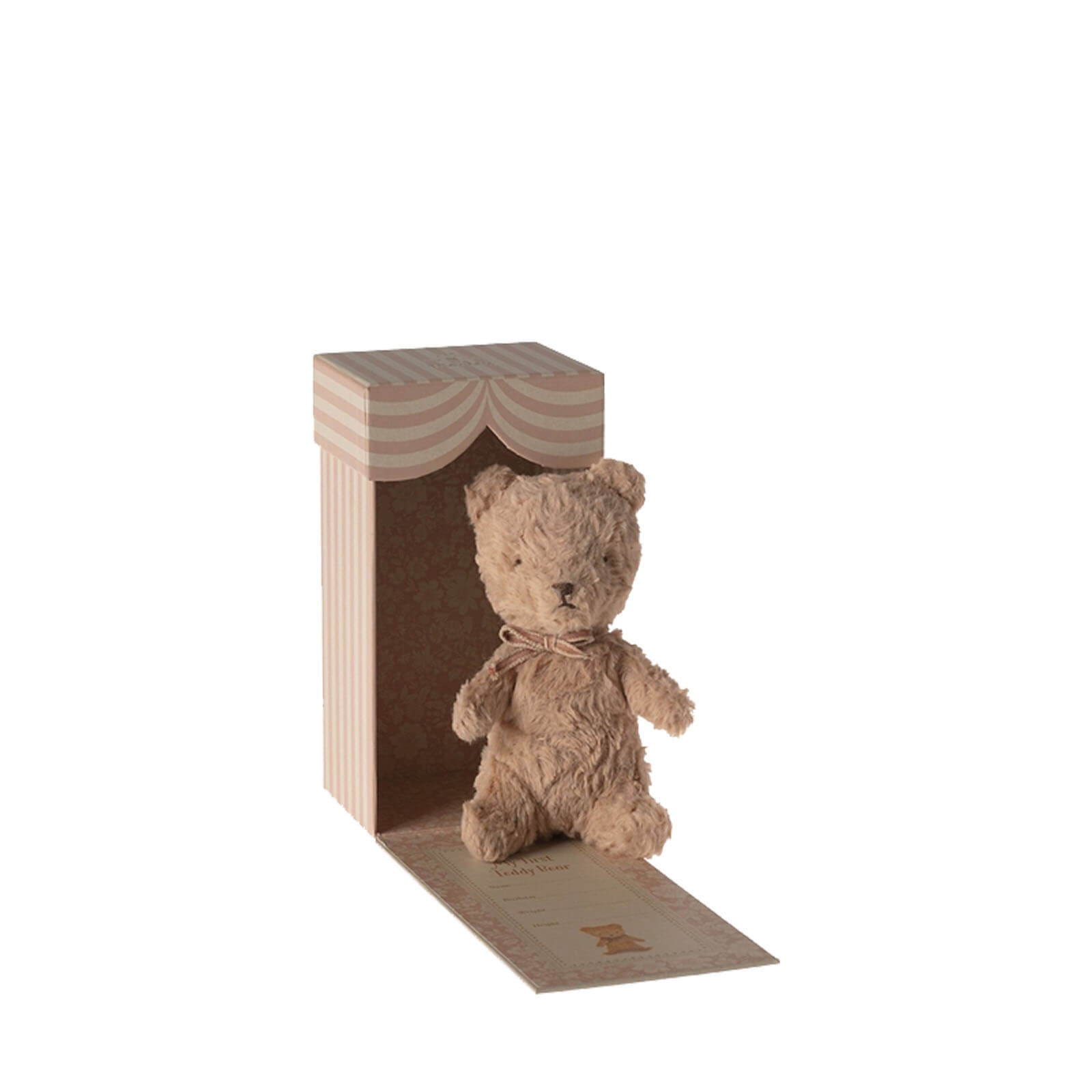 My First Teddy - Powder