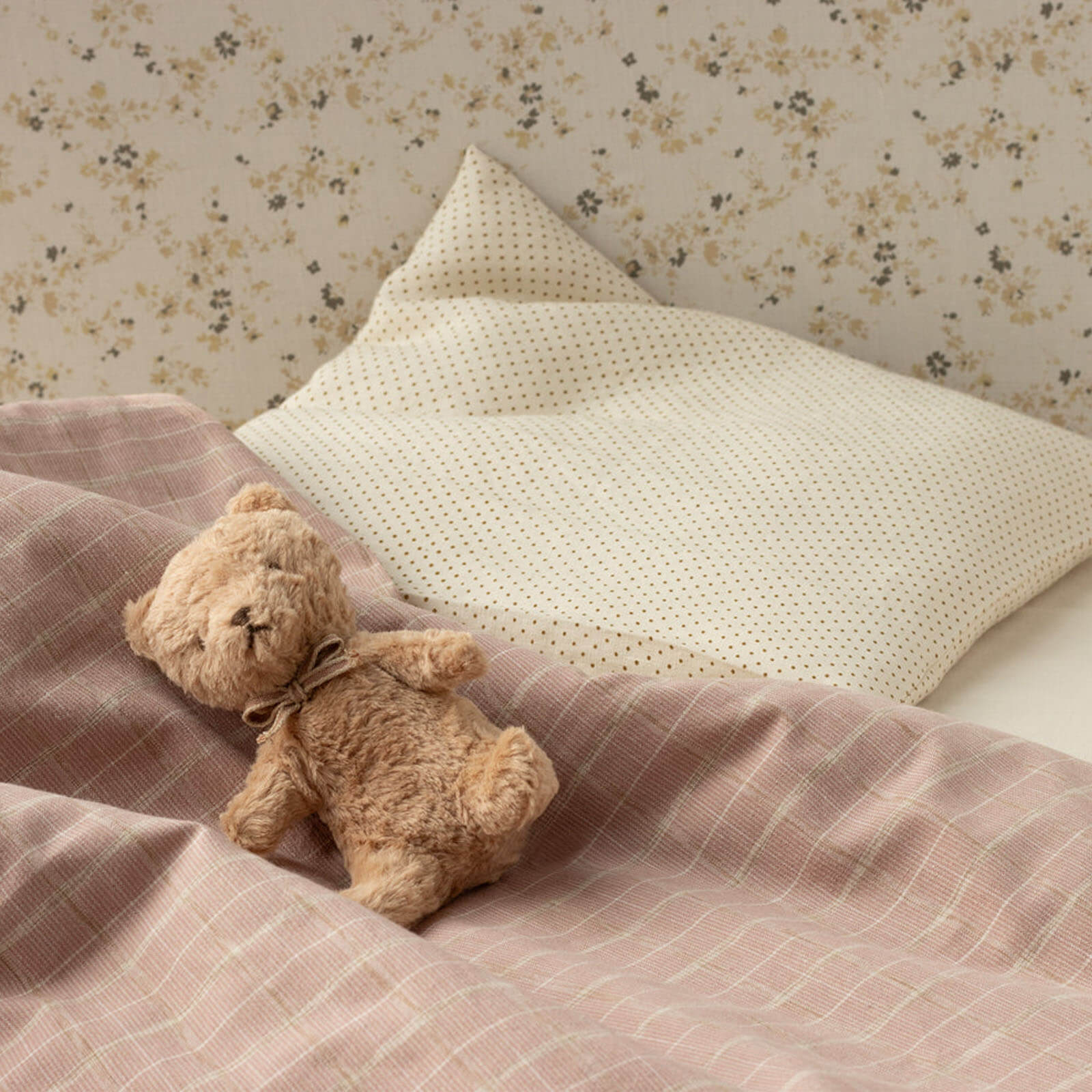 My First Teddy - Powder