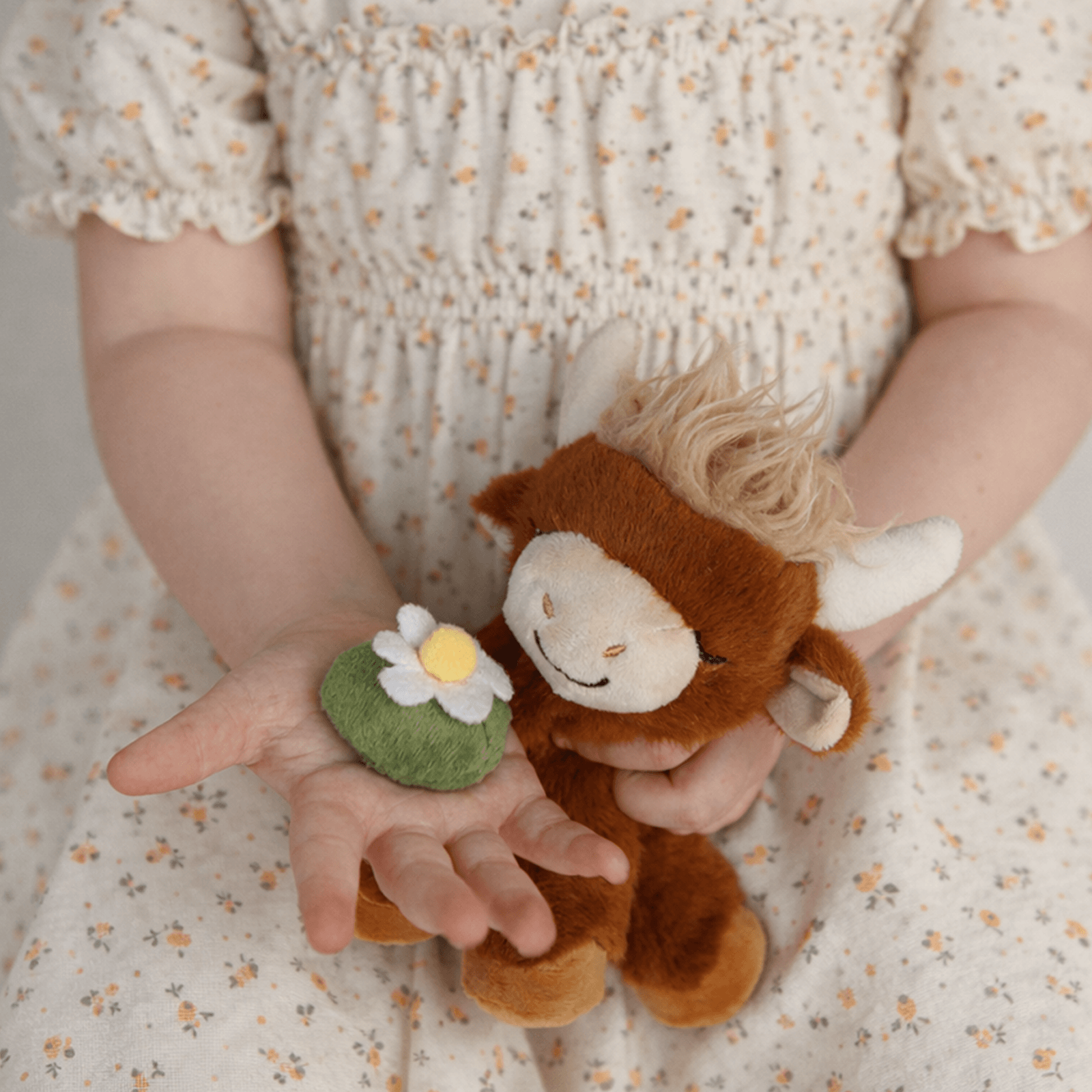 Binky Cow - Gus