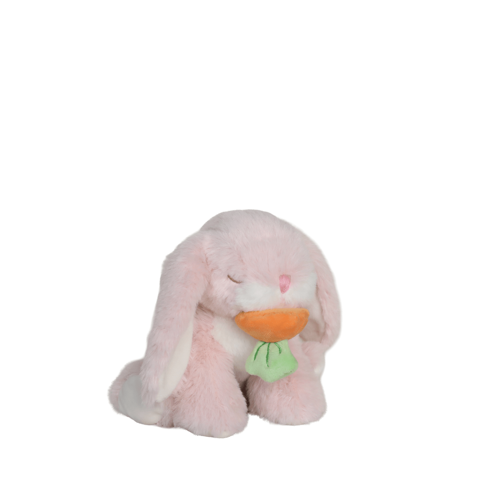 Binky Bunny - Dot