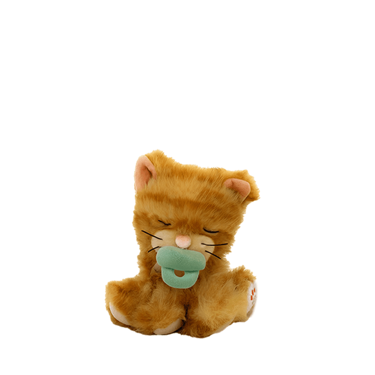 Binky Kitten - Koda Ginger