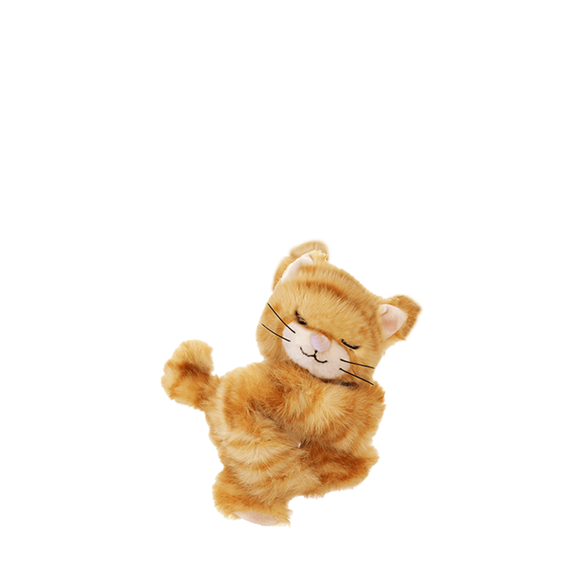 Binky Kitten - Koda Ginger
