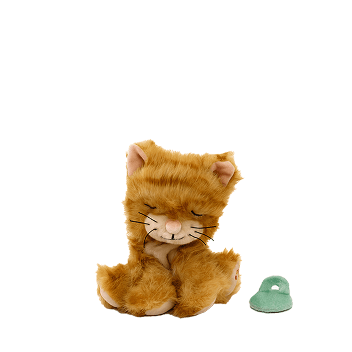 Binky Kitten - Koda Ginger