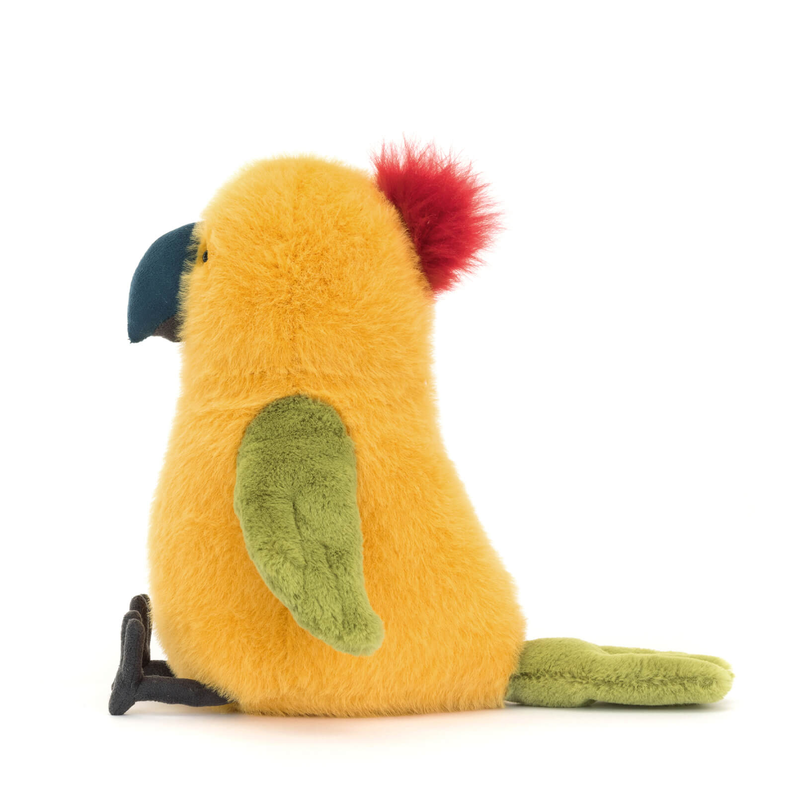 Budgeby Parrot