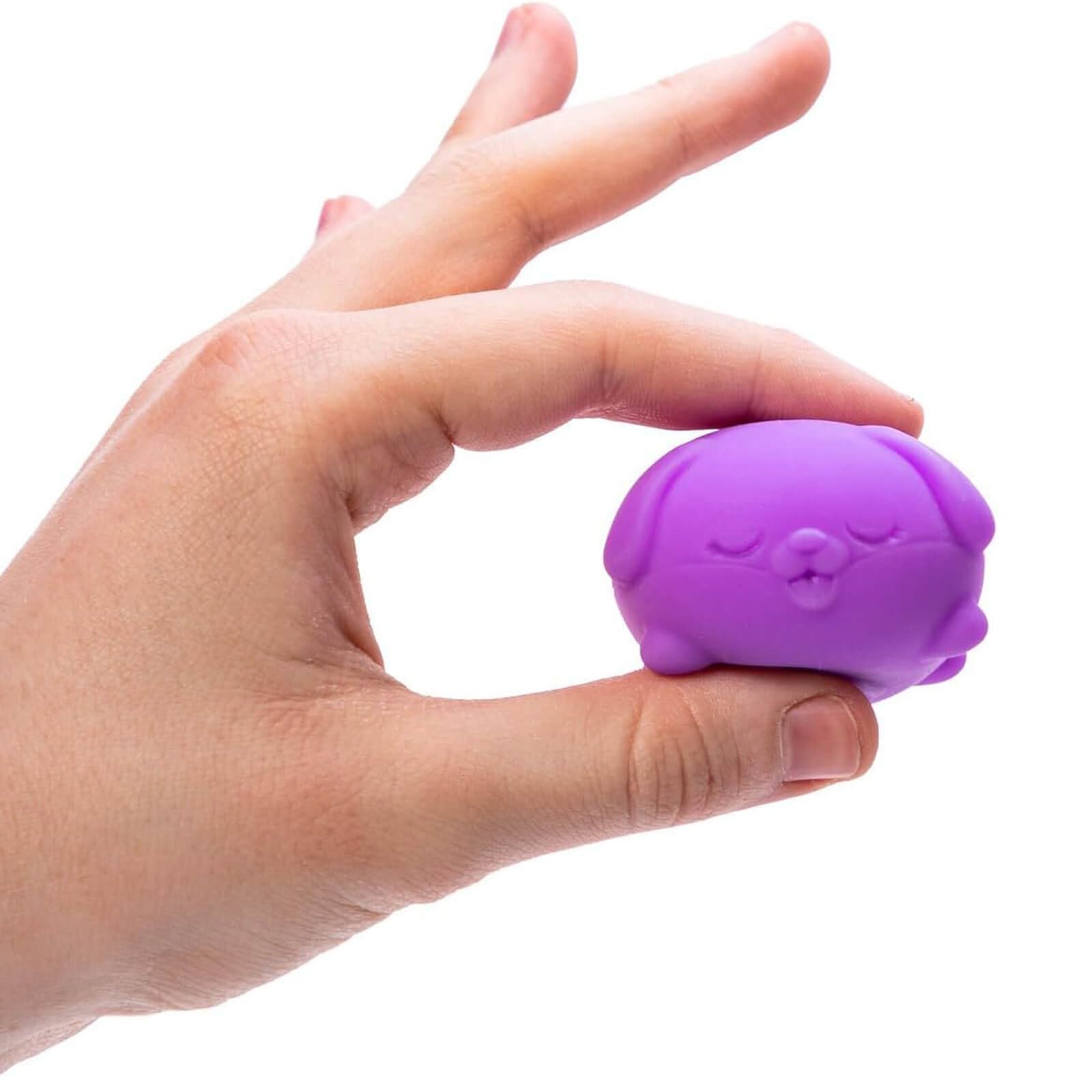 Squishy Fidget Toy - Teenie Funky Pups - Set of 3