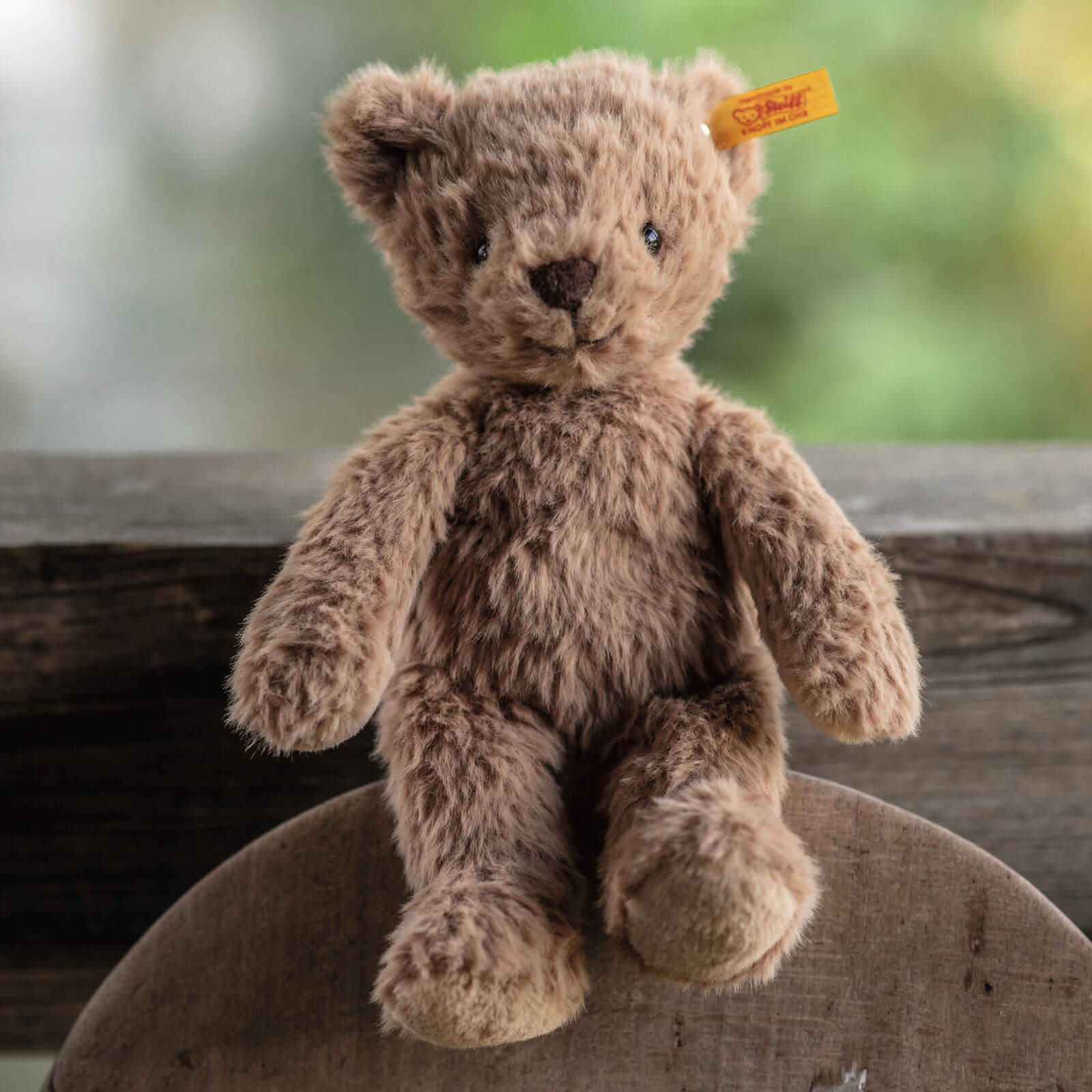 Thommy Teddy Bear 20cm