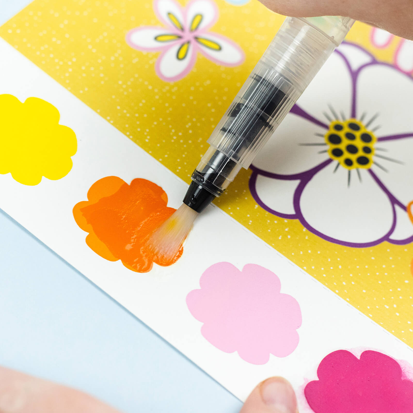 Paint a Picture Set - Butterflies and Flowers