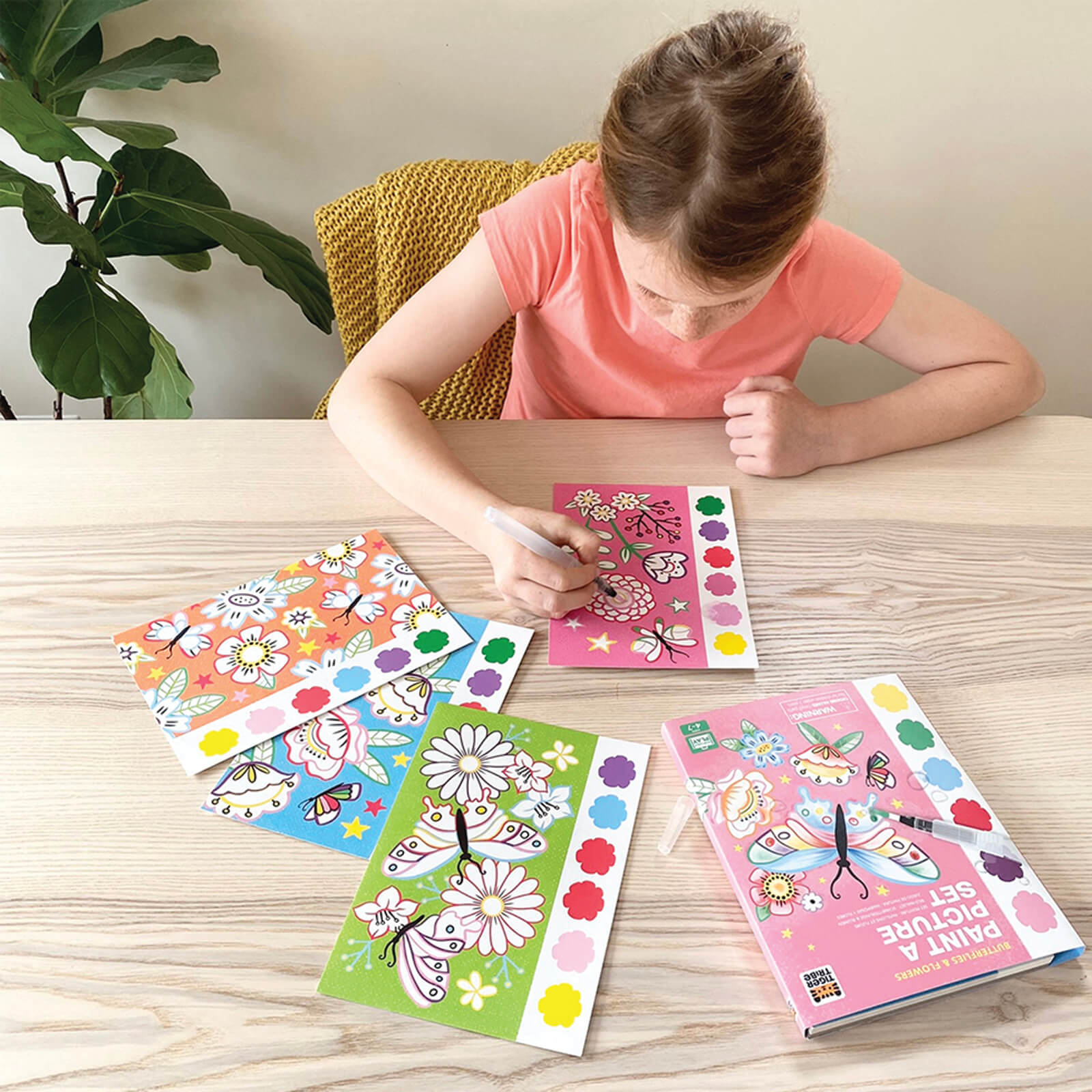 Paint a Picture Set - Butterflies and Flowers