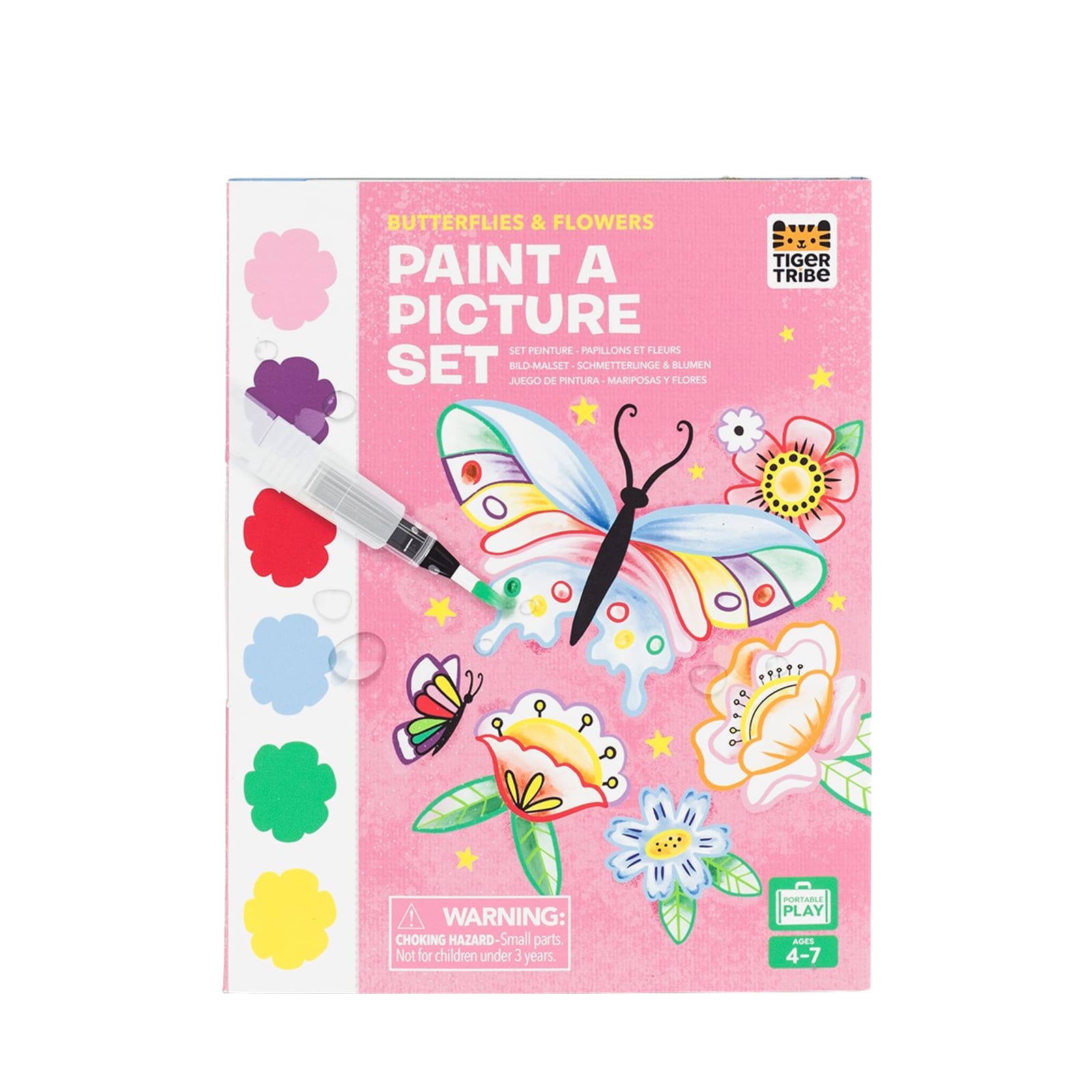 Paint a Picture Set - Butterflies and Flowers
