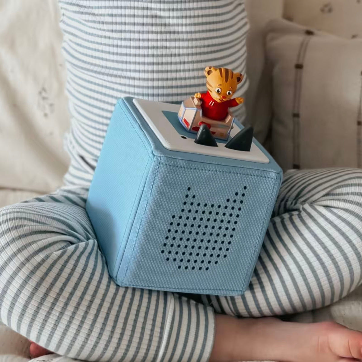Daniel Tigers Neighbourhood