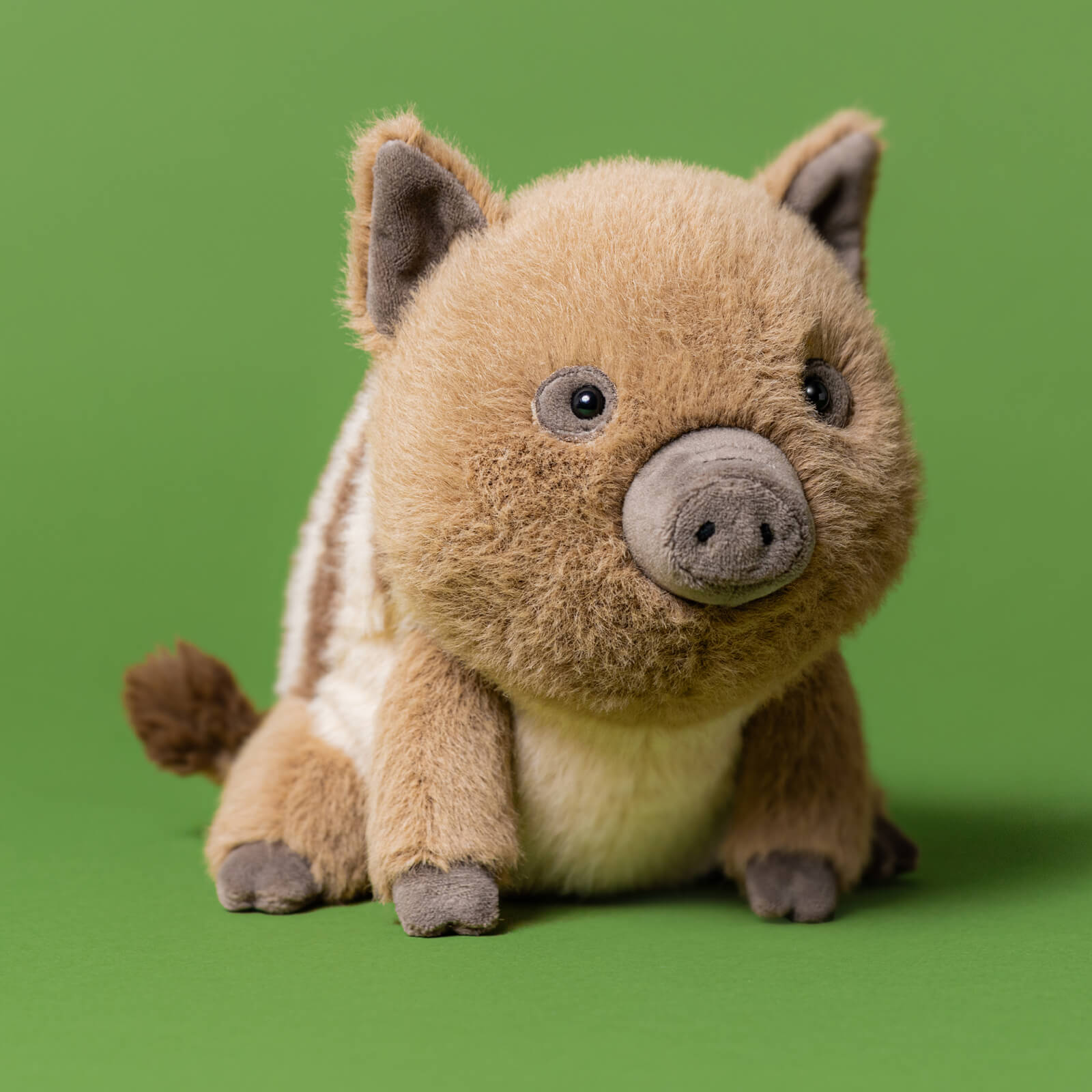 Swinley Boar